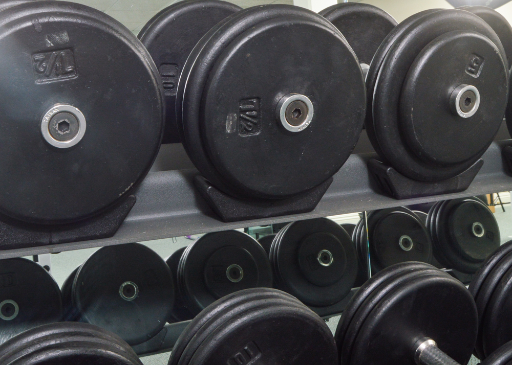 Hoist Fitness system, 2 tier dumbbell rack, 16 piece system EBTH