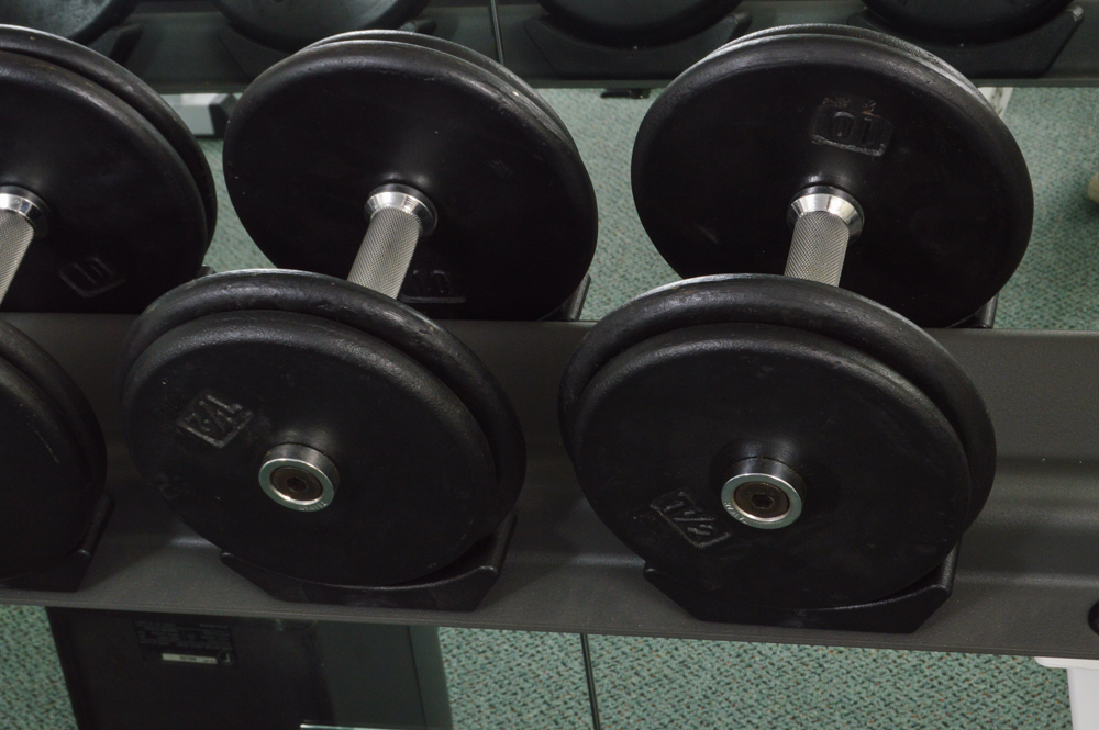 Hoist Fitness system, 2 tier dumbbell rack, 16 piece system EBTH