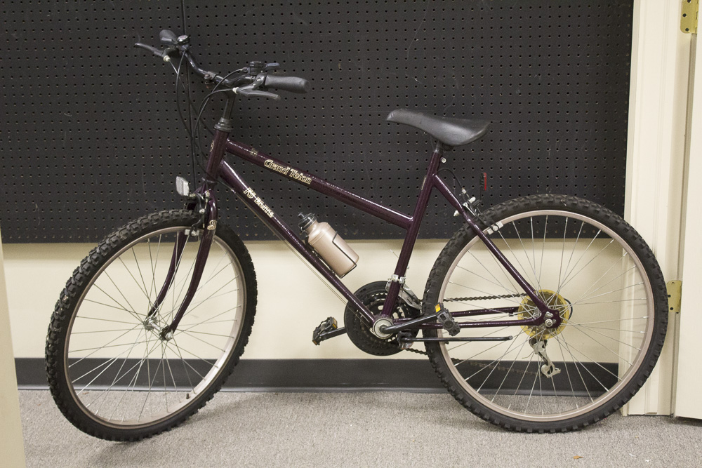 Grand Teton "FS Elite" Bicycle EBTH