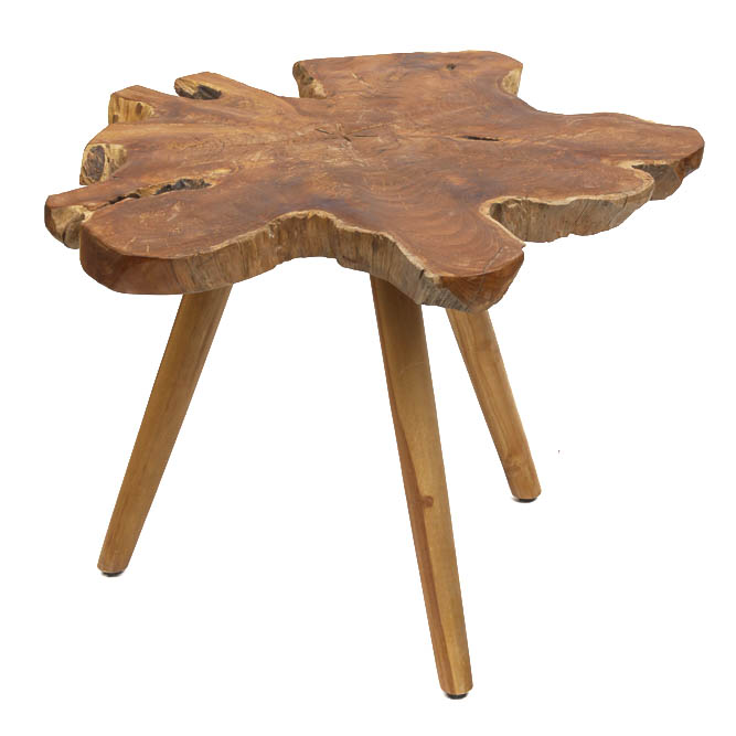 Tree Trunk Slab Side Table EBTH