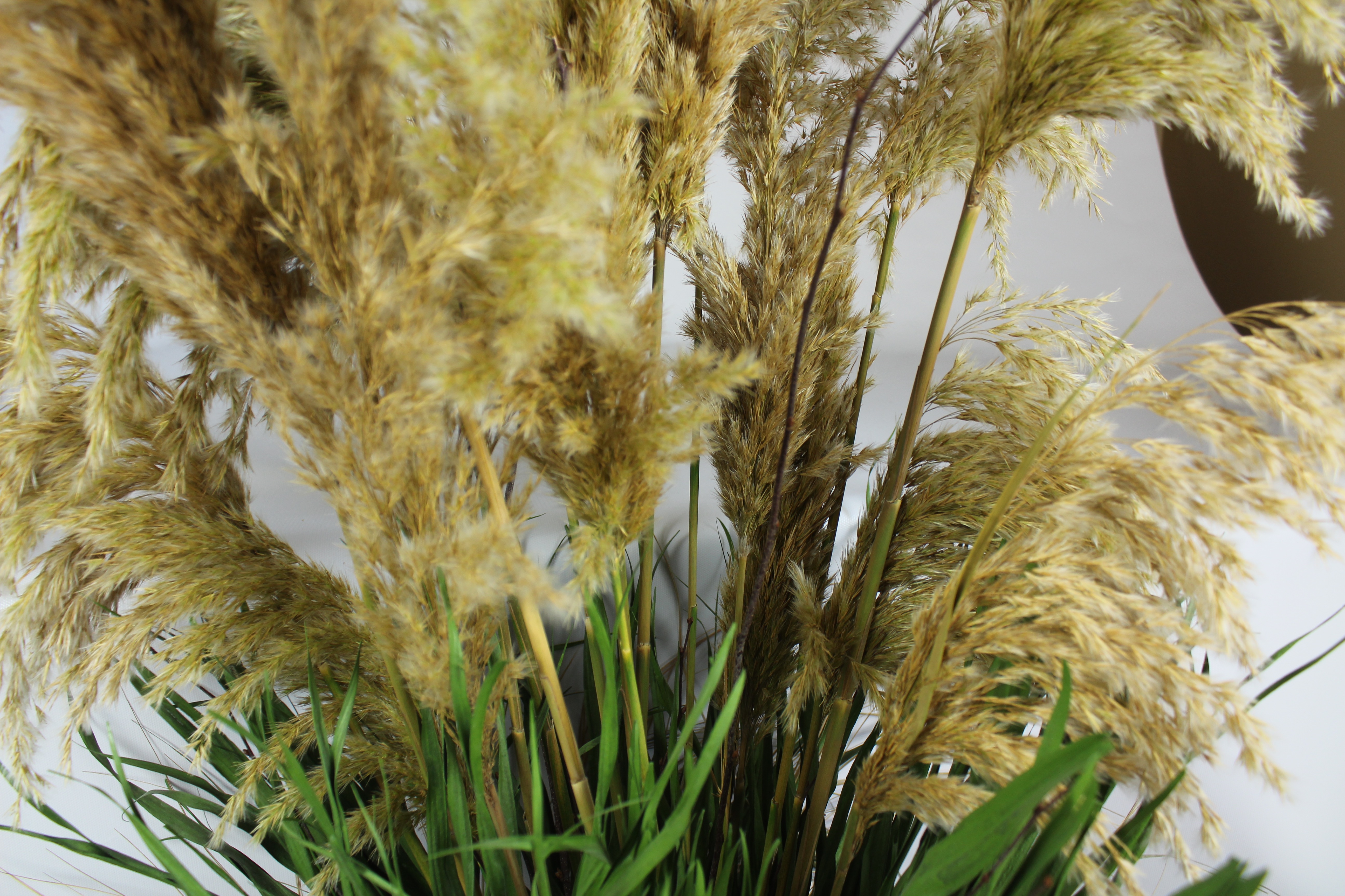 Tall Dried Grass Arrangement EBTH