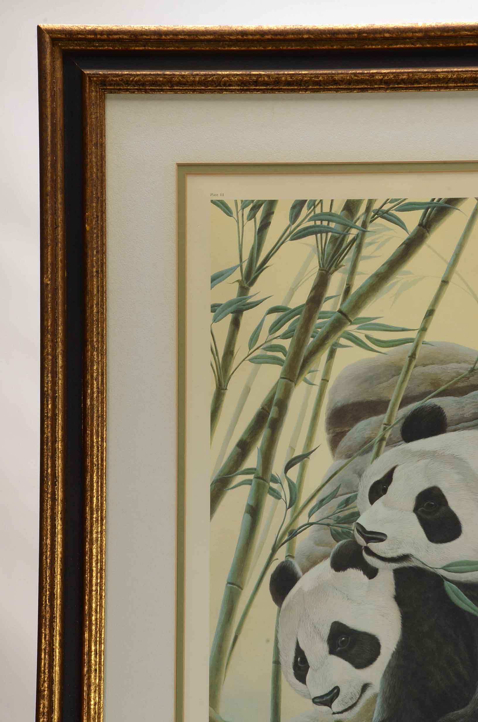 John Ruthven Signed Limited Edition Offset Lithograph 