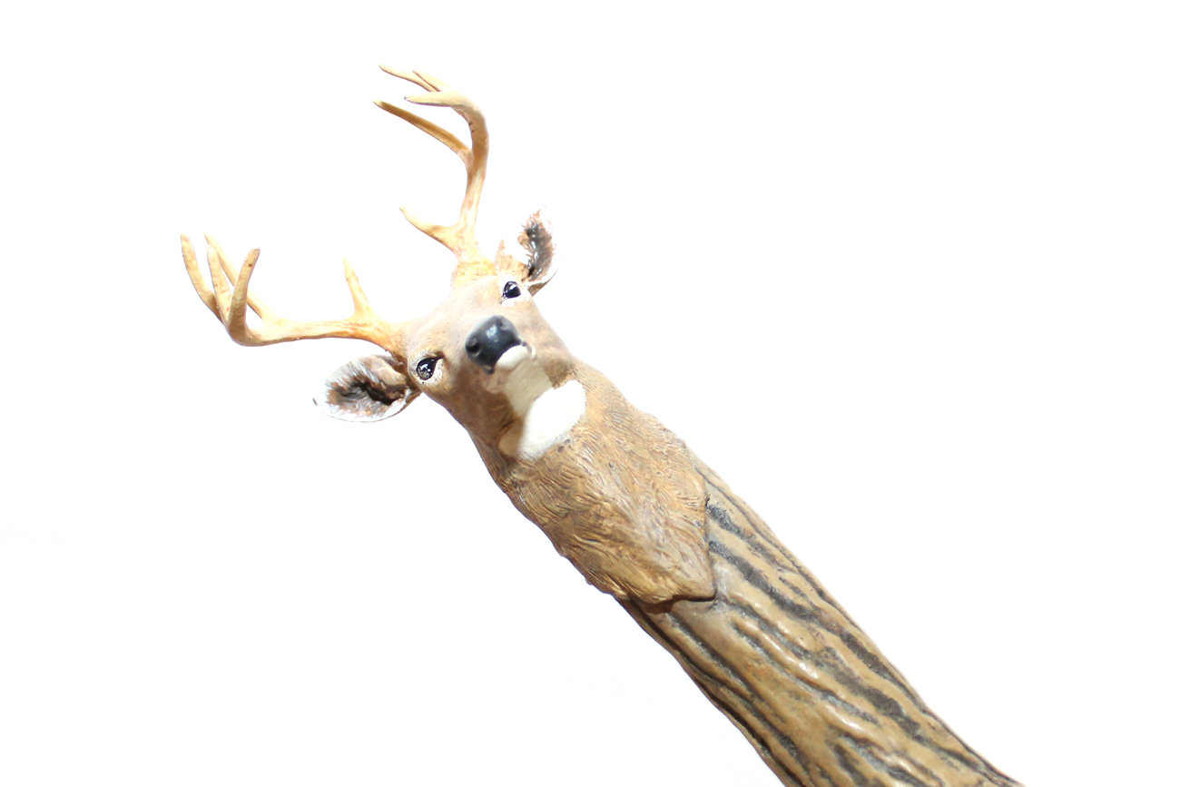 Animal Head Canes With Hanging Wall Shelf EBTH
