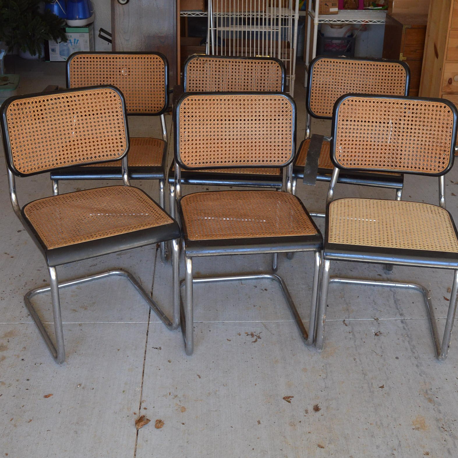 Set Of Mid Century Modern Cesca Style Dining Chairs Ebth