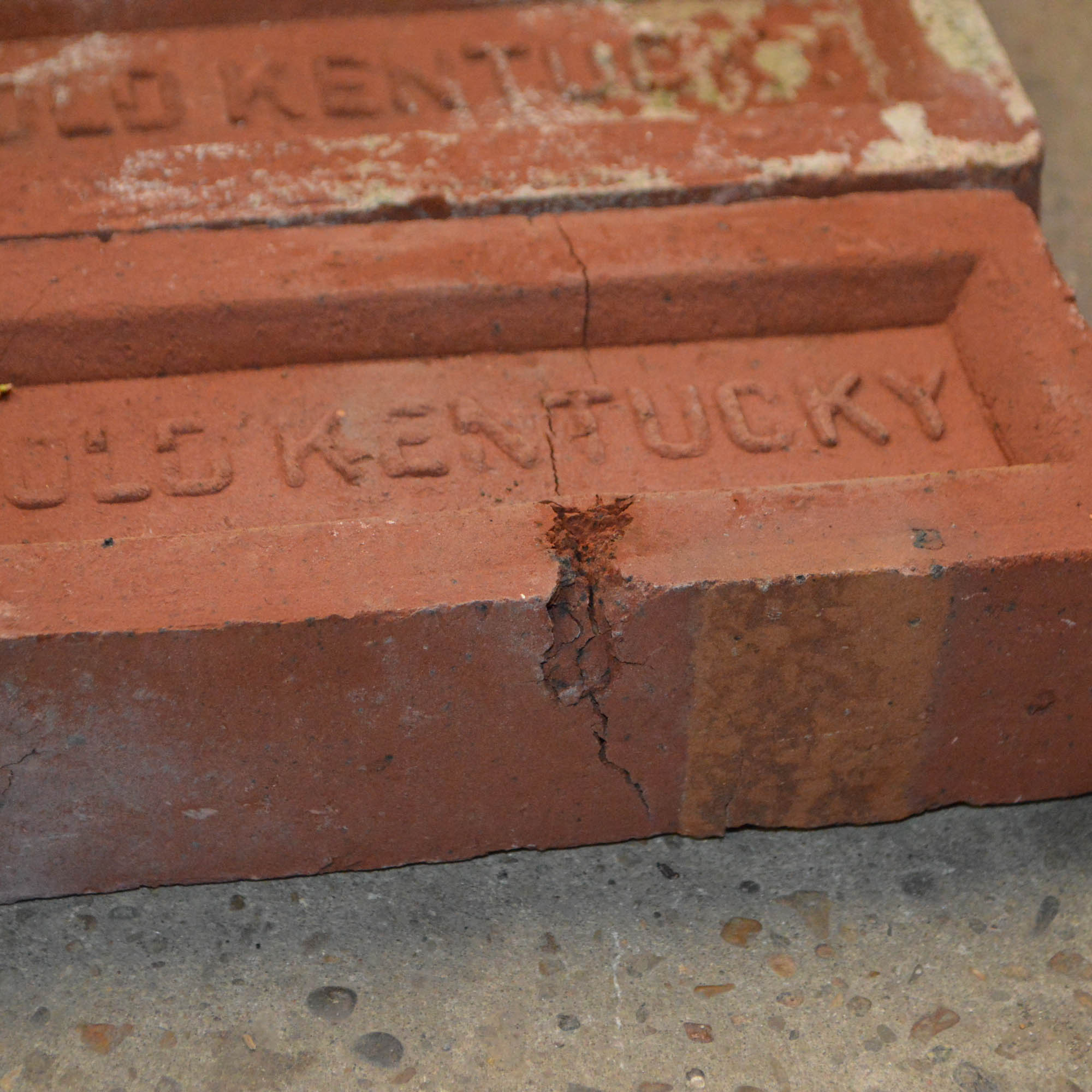 Antique Clay "Old Kentucky" Bricks EBTH