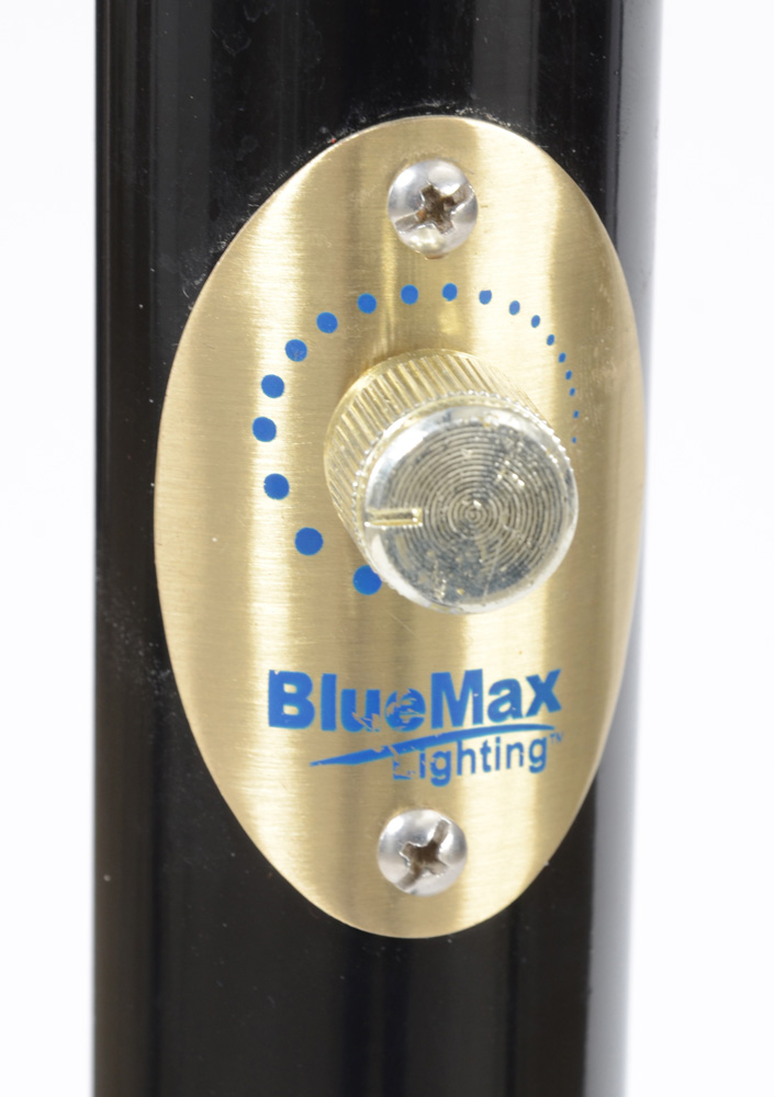 BlueMax Light Therapy Floor Lamp EBTH