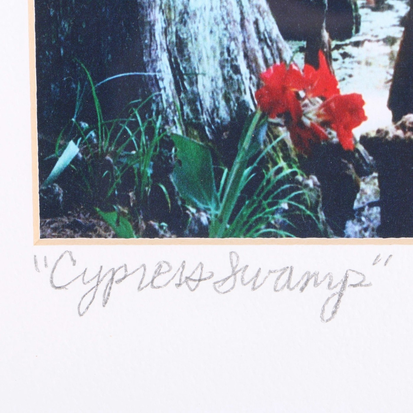 Creech Auto Sales >> Mike Creech Offset Lithographs "Cypress Swamp" and "The Kentucky Theater" | EBTH Creech Auto Sales >> Mike Creech Offset Lithographs "Cypress Swamp" and "The Kentucky Theater" | EBTH