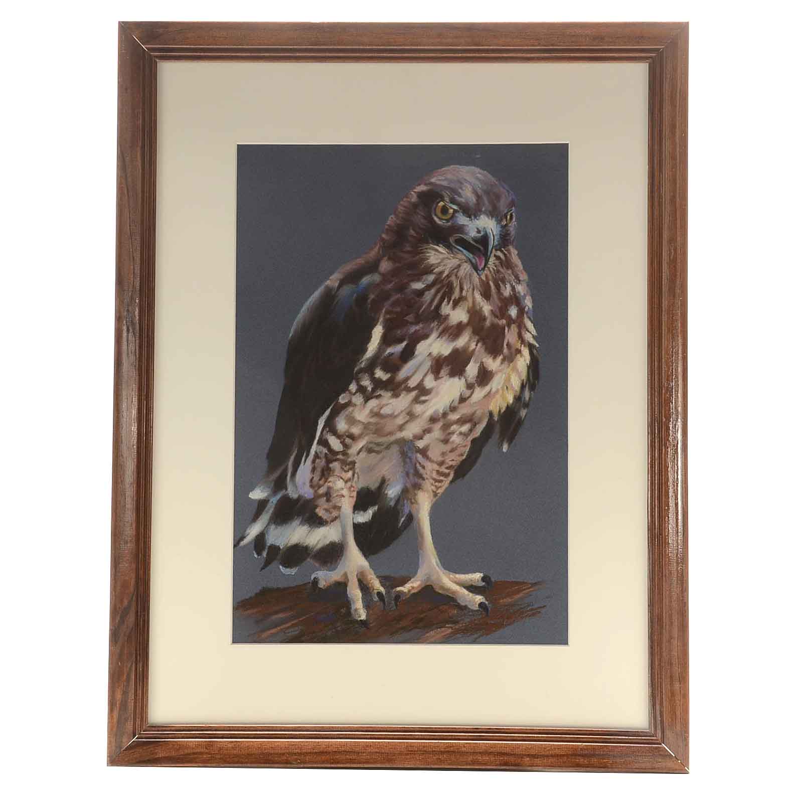 Deanna Boling Original Pastel Drawing of a Hawk EBTH