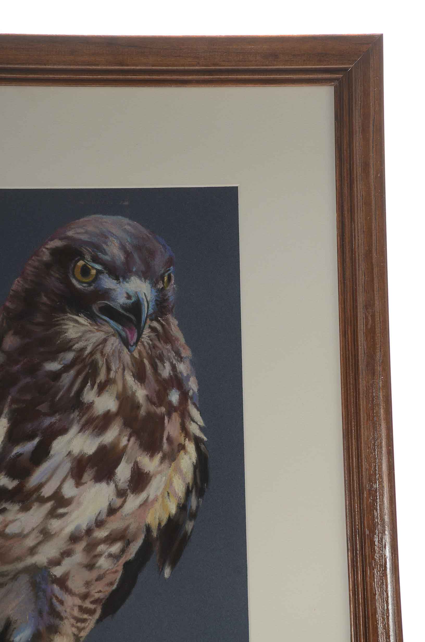 Deanna Boling Original Pastel Drawing of a Hawk EBTH
