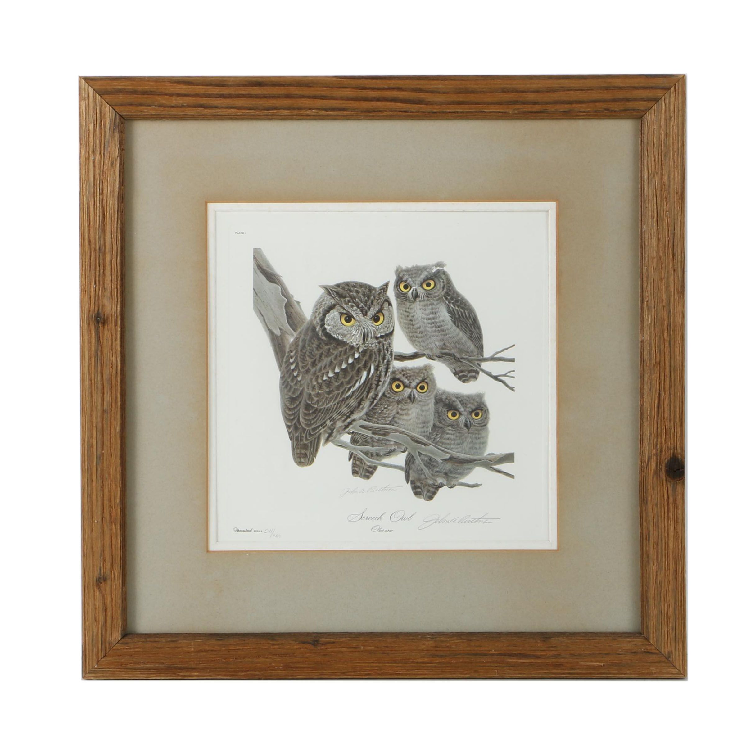 John Ruthven Limited Edition Offset Lithograph "Screech Owl" Barnebys