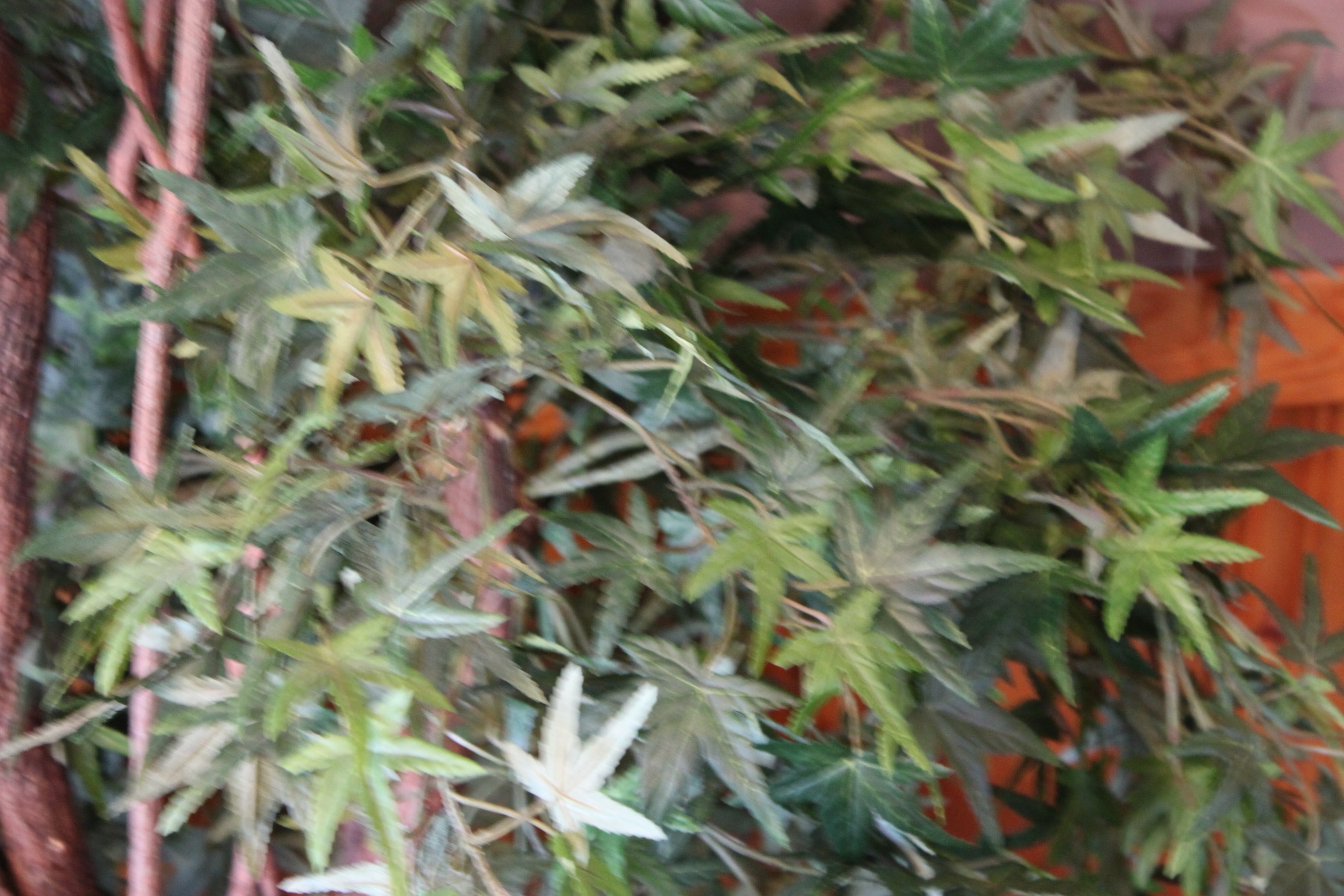 Faux Japanese Maple Tree in Planter EBTH