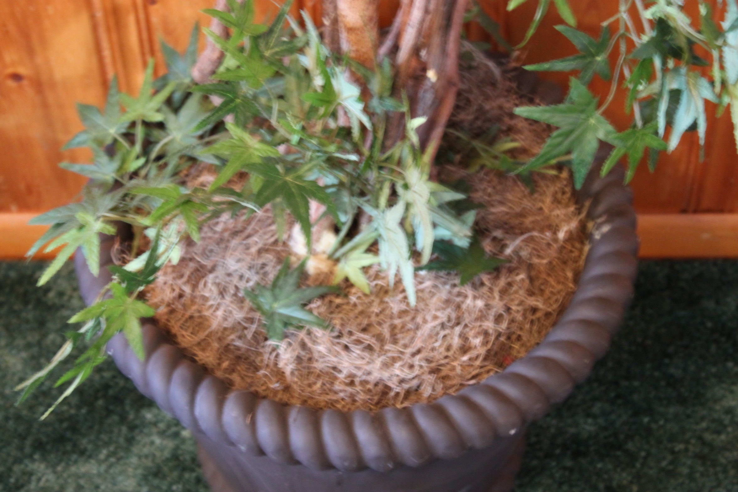 Faux Japanese Maple Tree in Planter EBTH