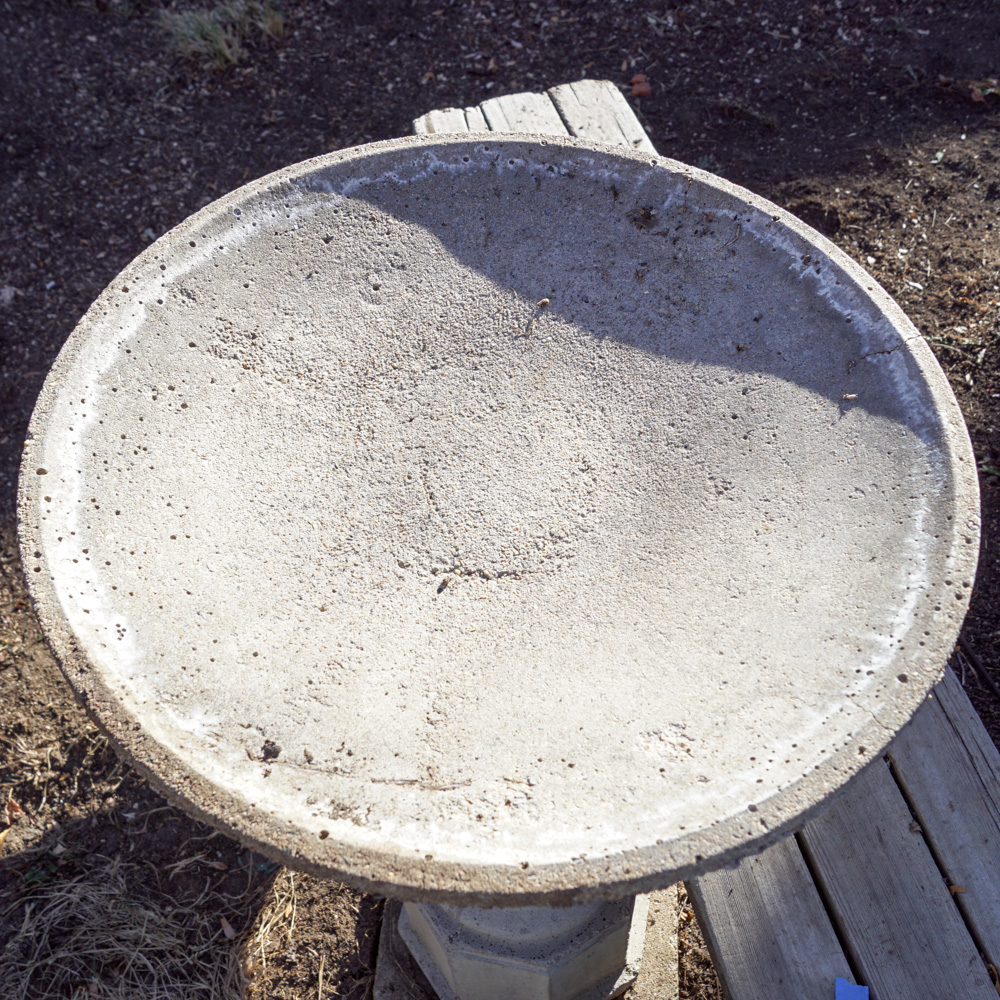 Concrete Bird Bath EBTH