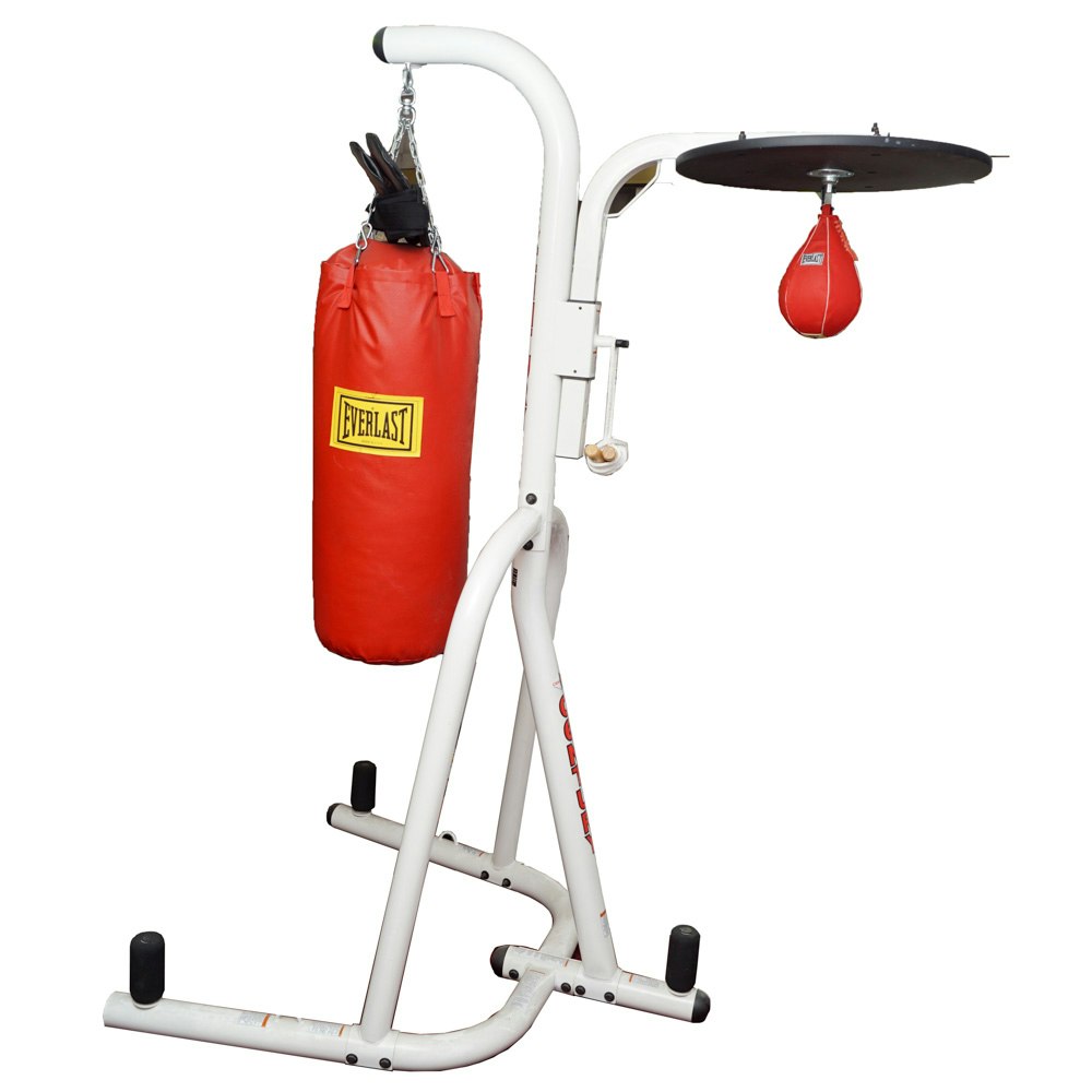 Century Boxing Stand with Everlast Punching Bag and Speed Bag | EBTH