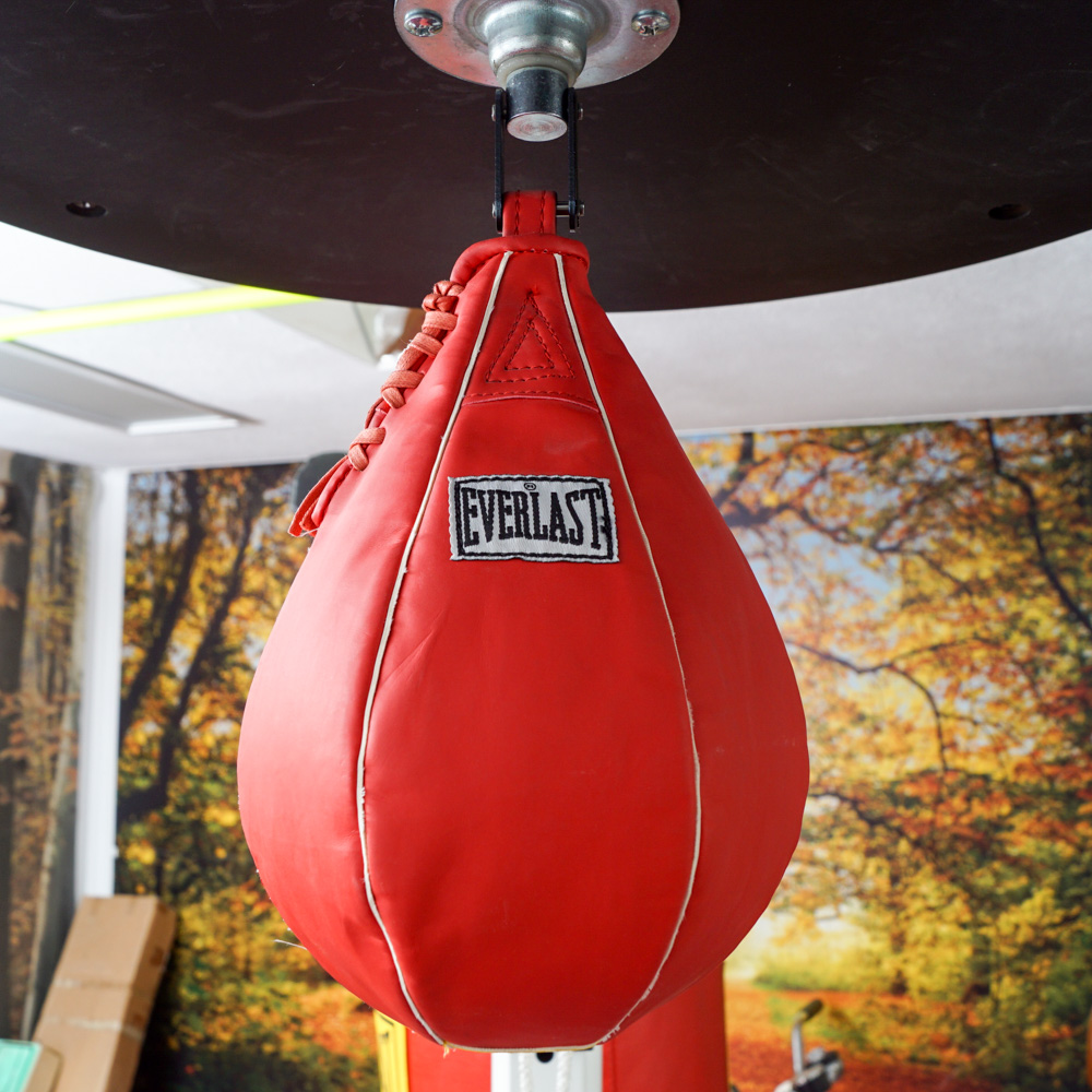 Century Boxing Stand with Everlast Punching Bag and Speed Bag EBTH