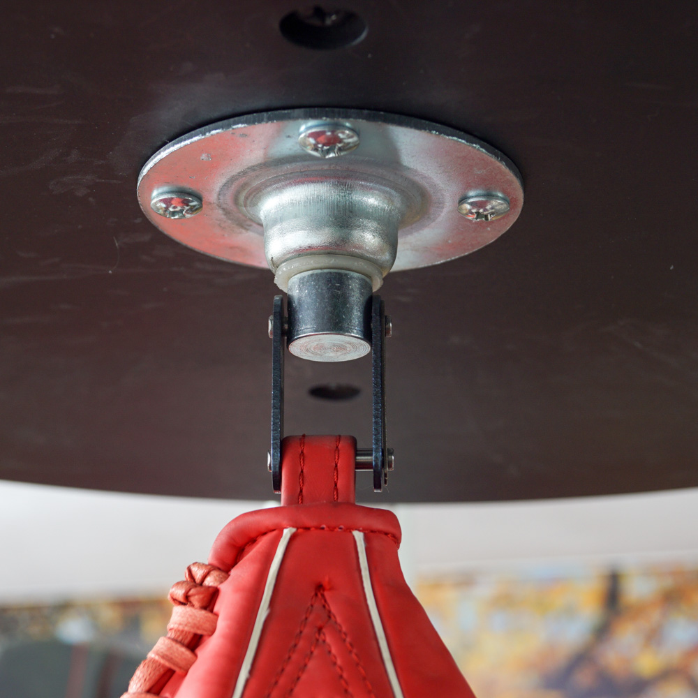 Century Boxing Stand with Everlast Punching Bag and Speed Bag EBTH