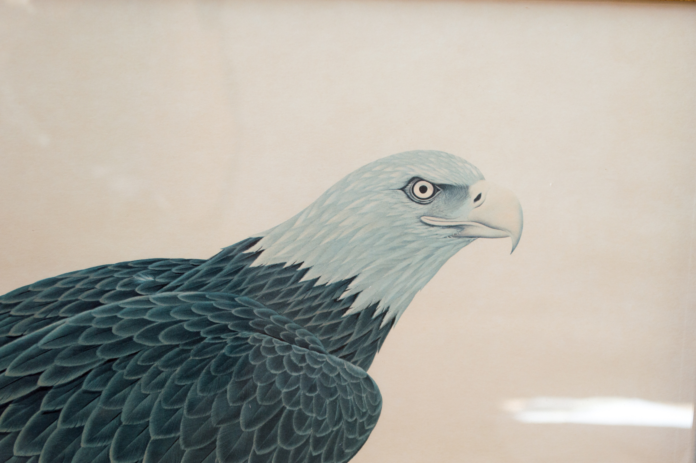 John Ruthven Limited Edition Offset Lithograph "Bald Eagle" EBTH