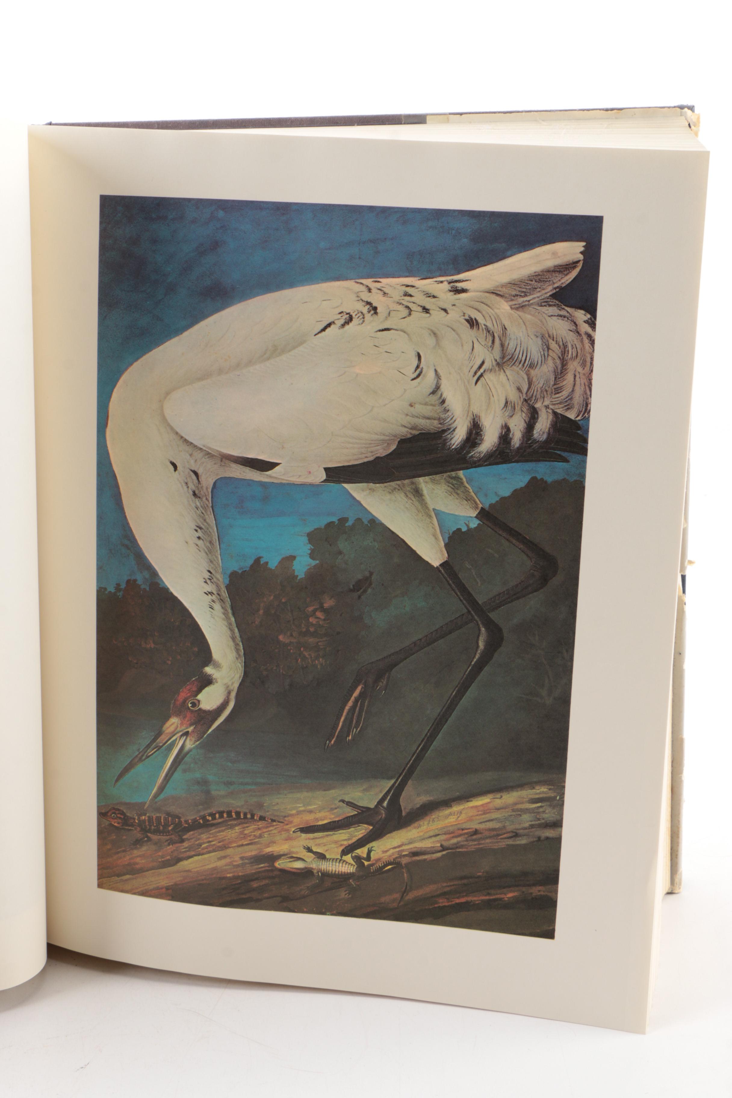 1966 "The Original Water-Color Paintings" by John James ...