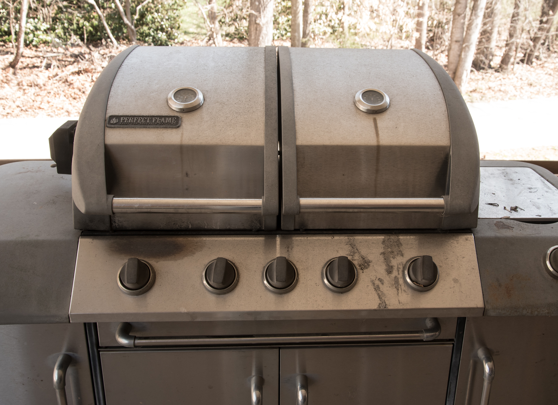 Perfect Flame Gas Grill EBTH