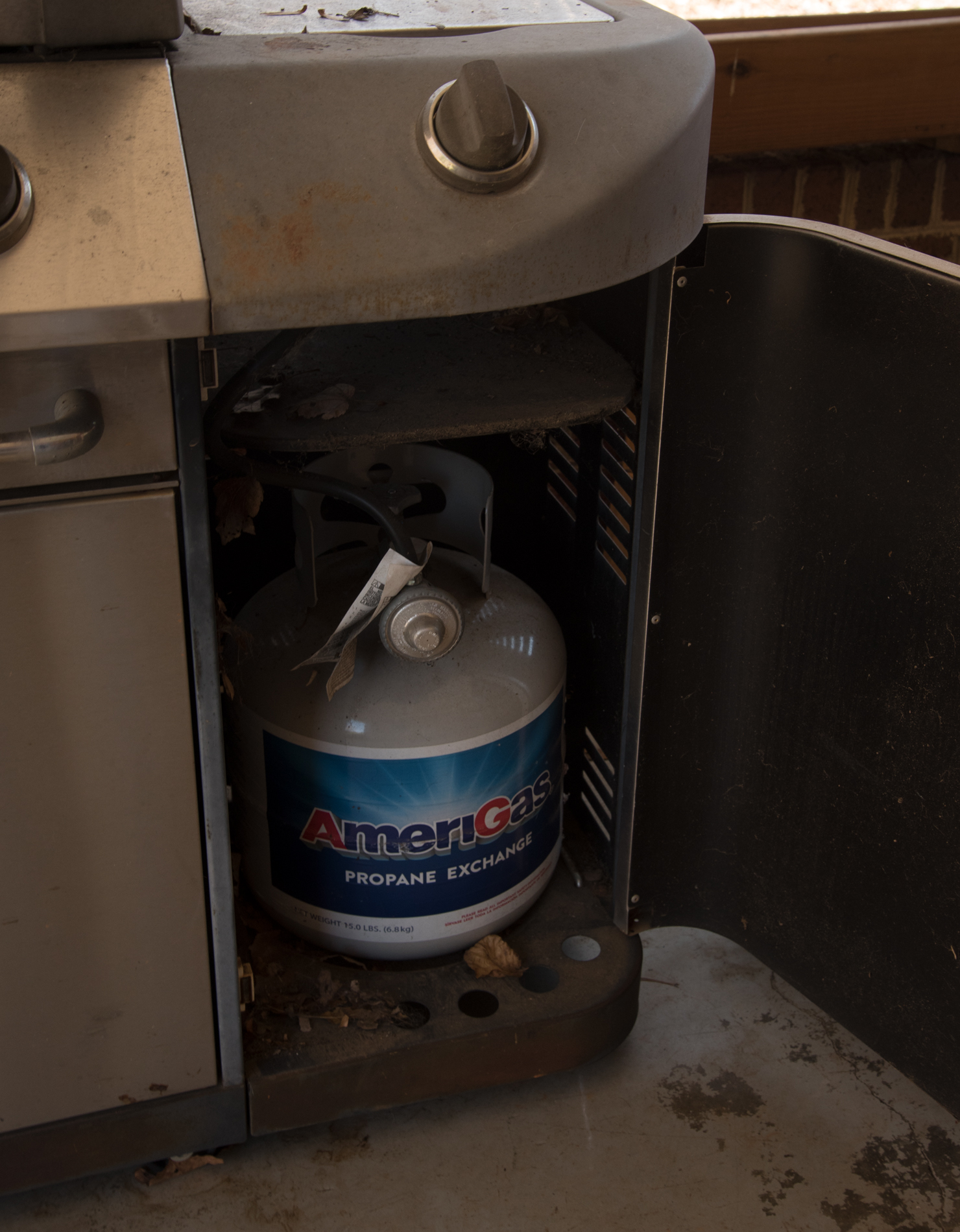 Perfect Flame Gas Grill EBTH