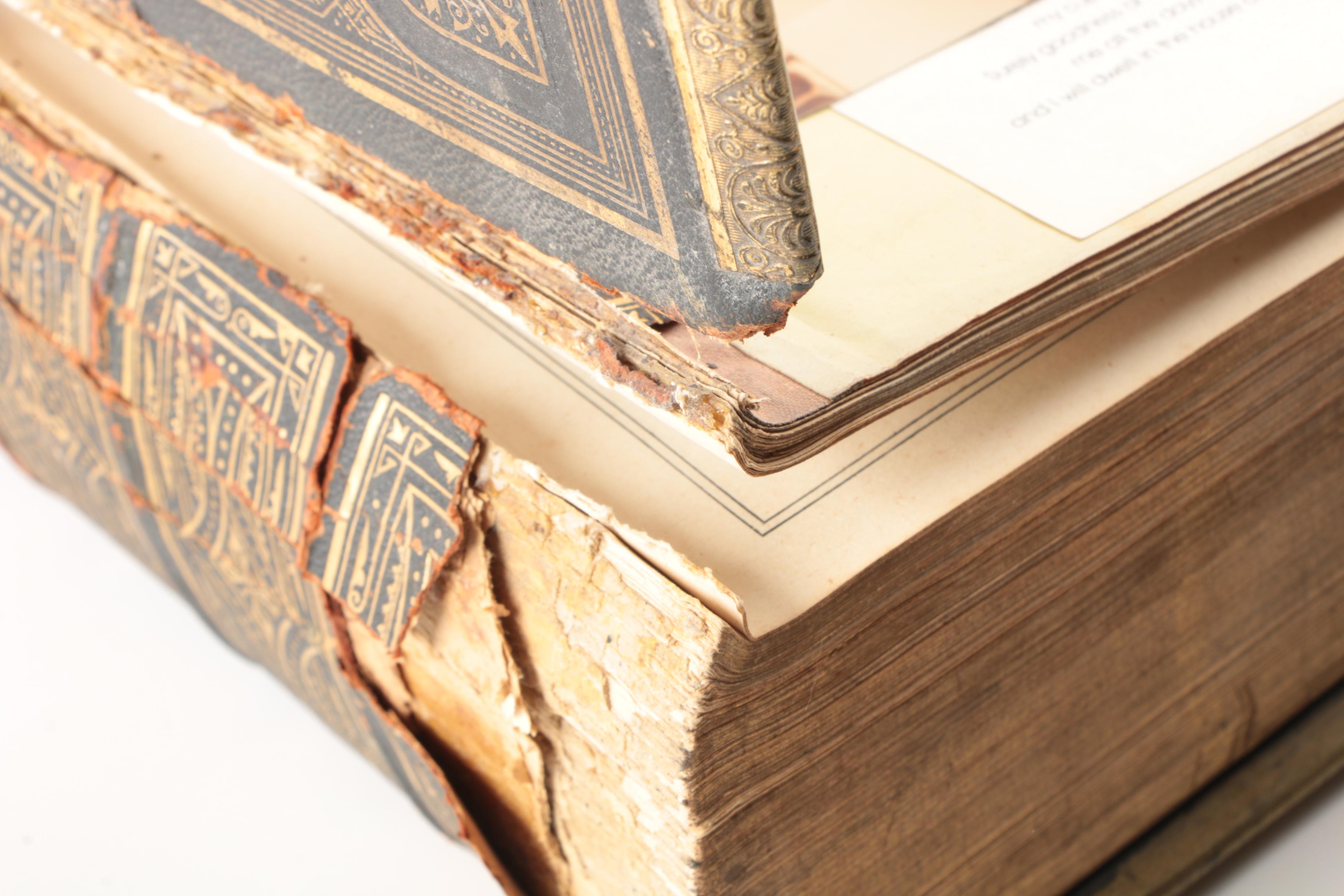 19th Century The Self Interpreting Family Bible EBTH
