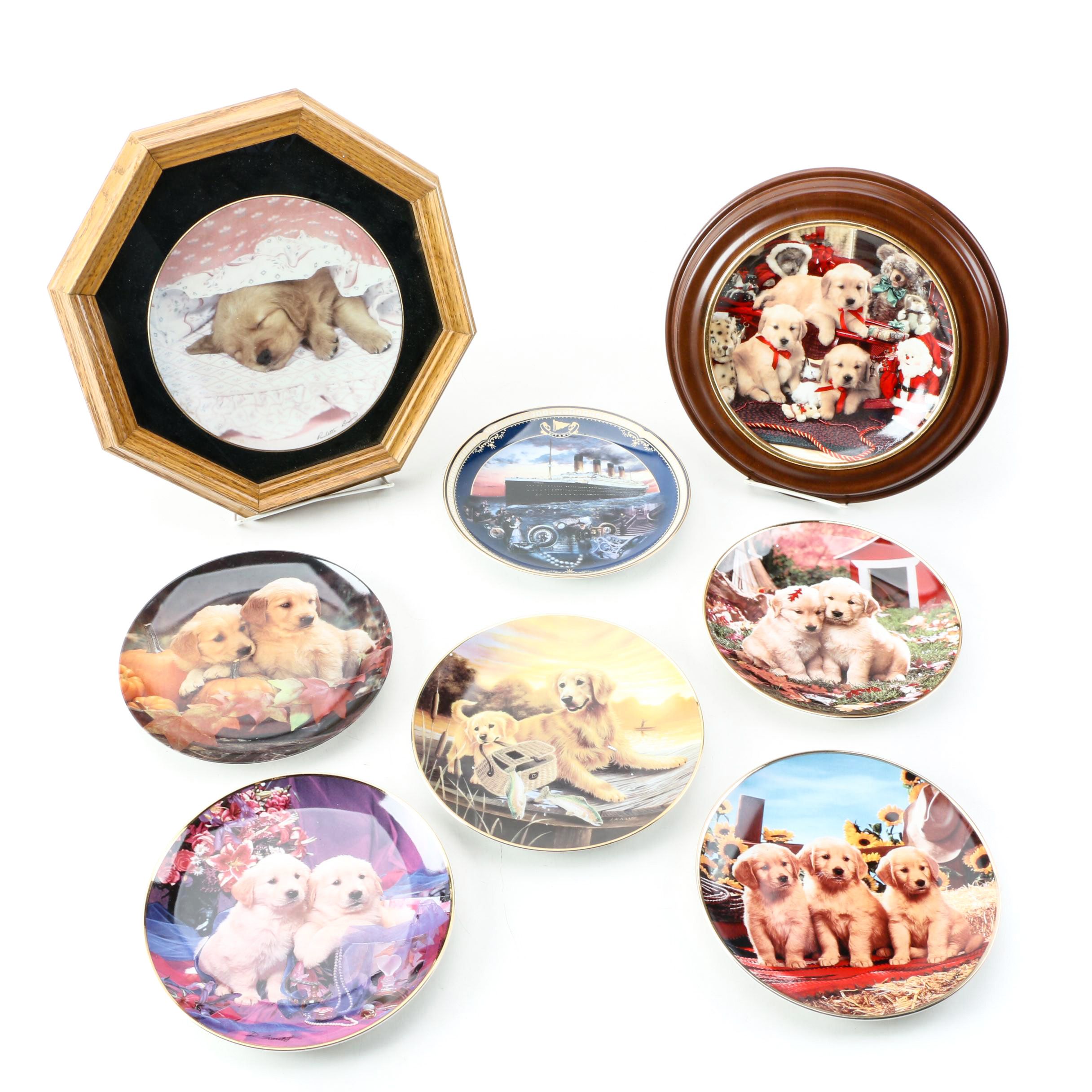 golden retriever collector plates