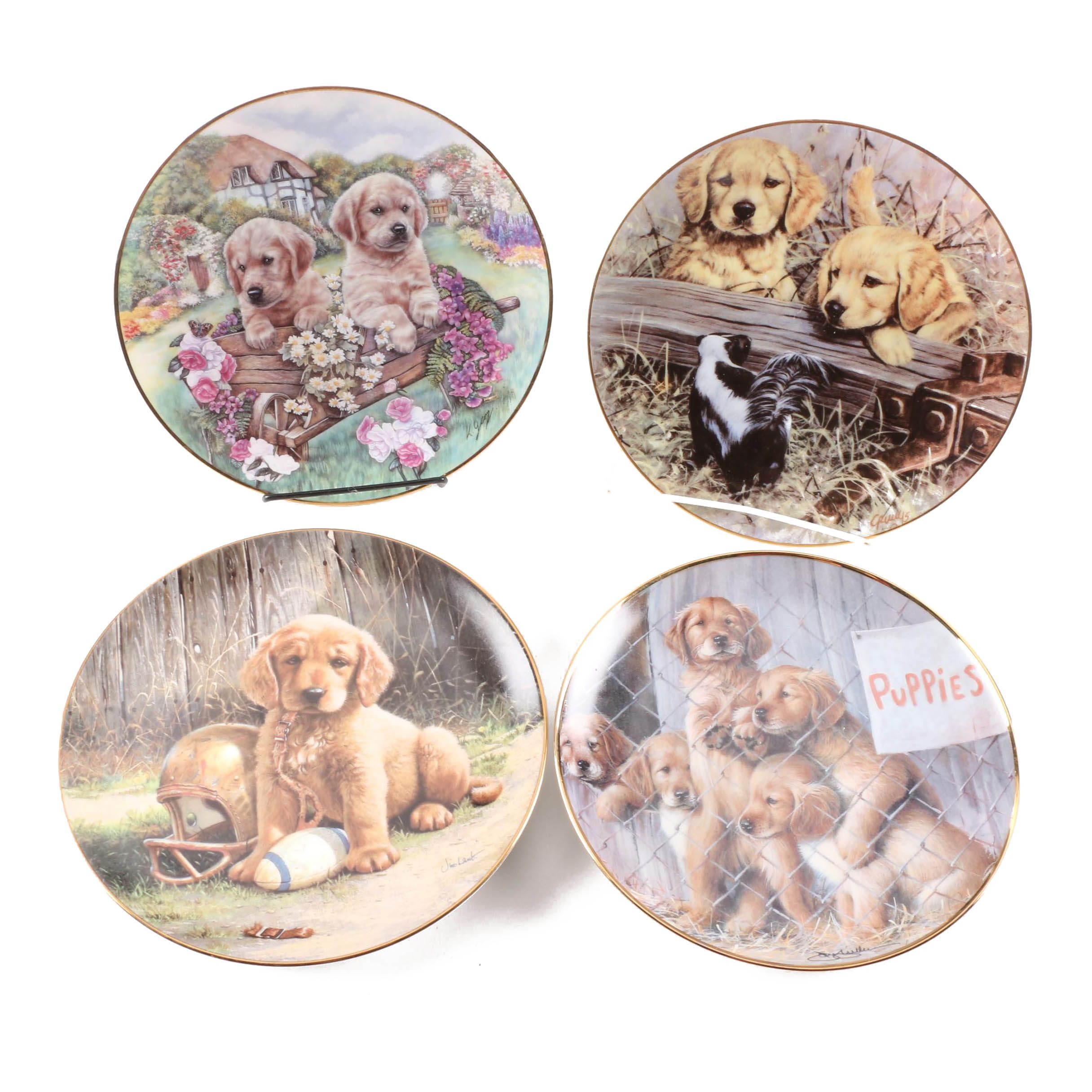 golden retriever collector plates