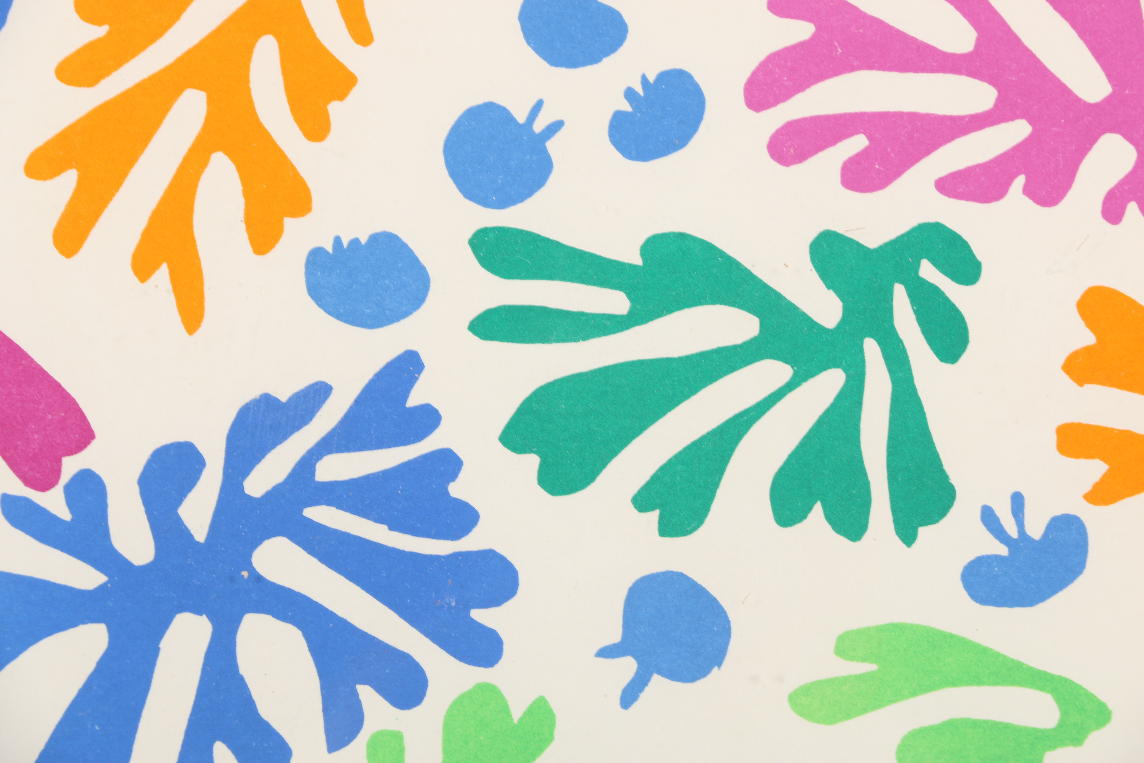 Henri Matisse La Perruche Et La Sirene