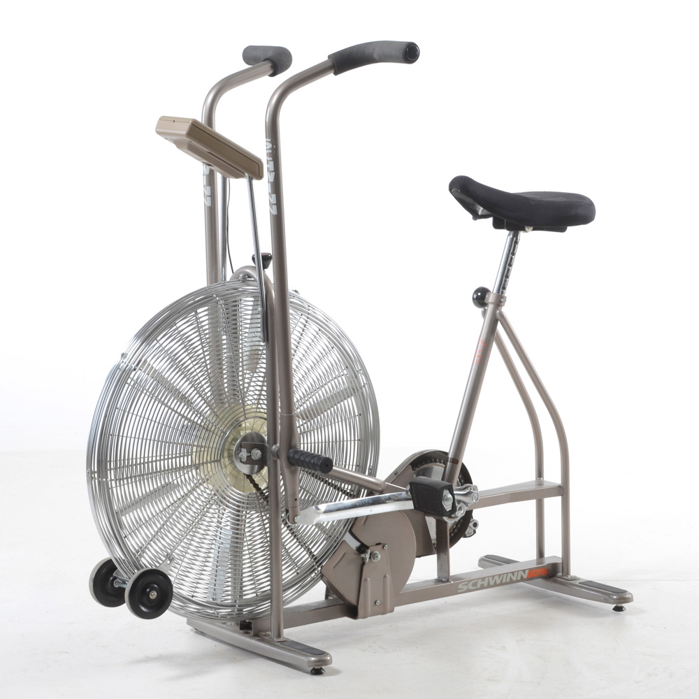 schwinn airdyne pro uk