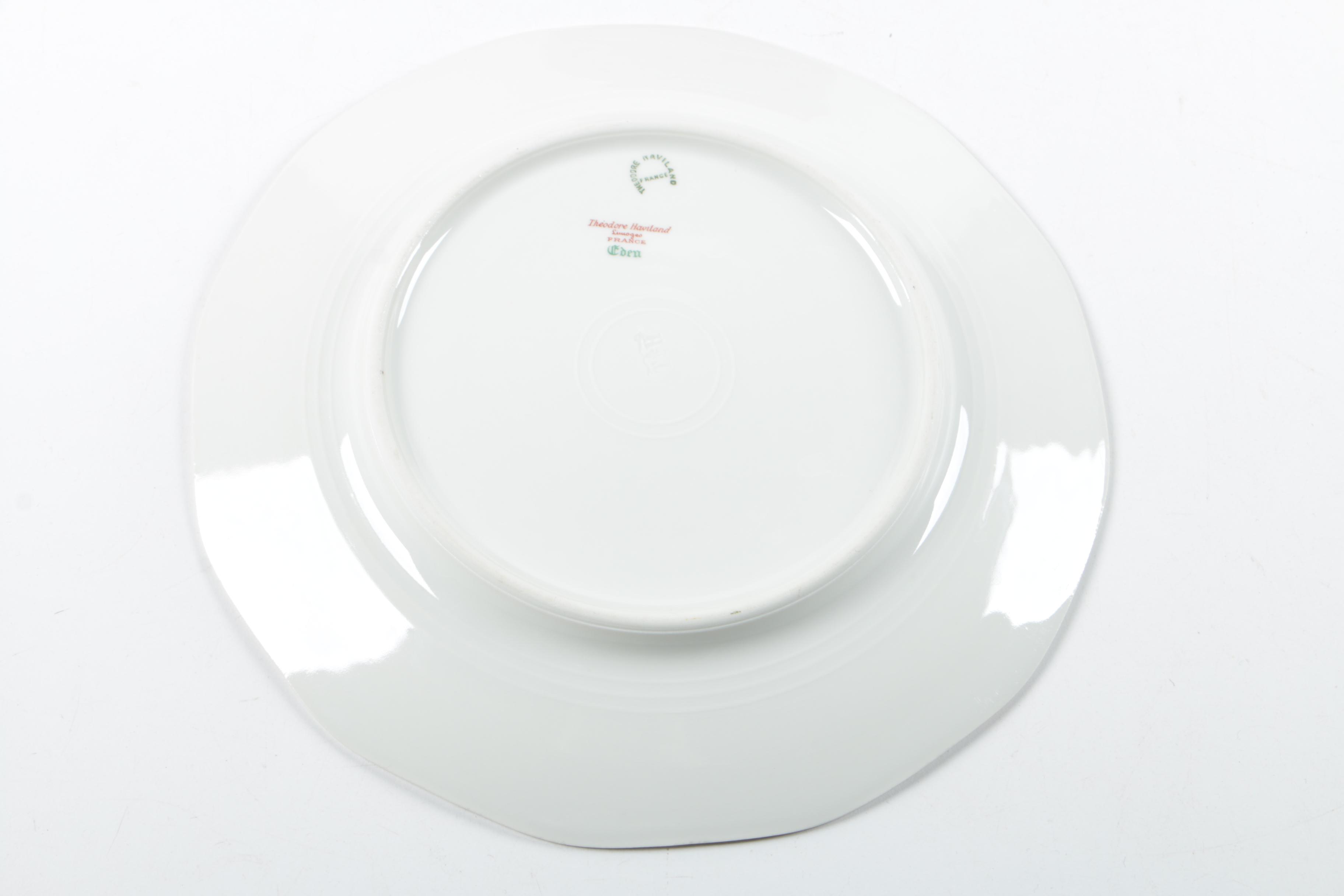 Theodore Haviland Limoges "Eden" Dinnerware, Circa 1922 EBTH