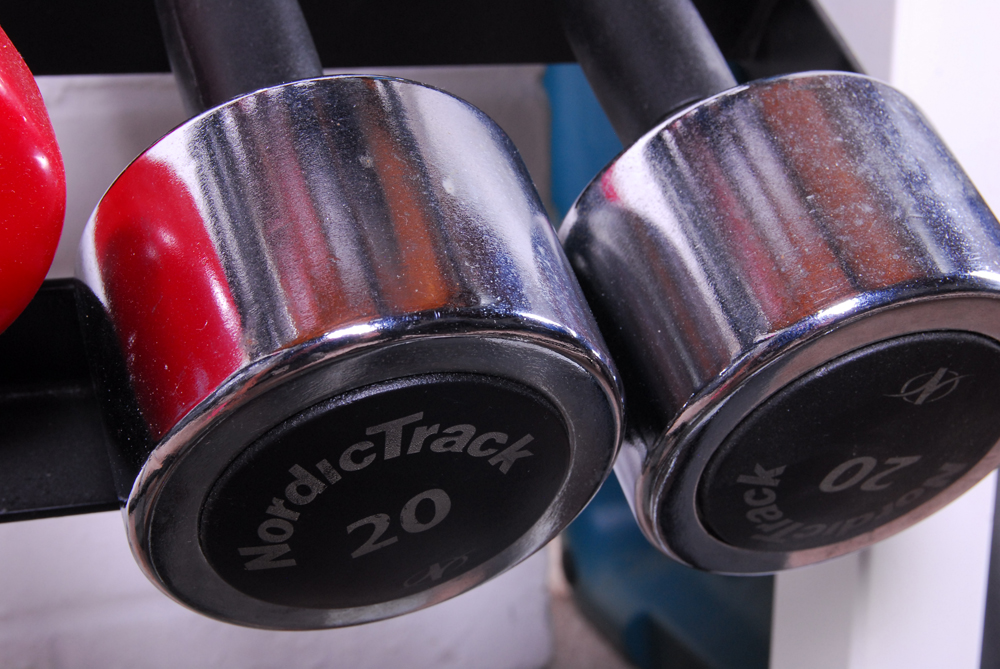 Weider DB21 Weight Rack Iron Grip Strength Bench And