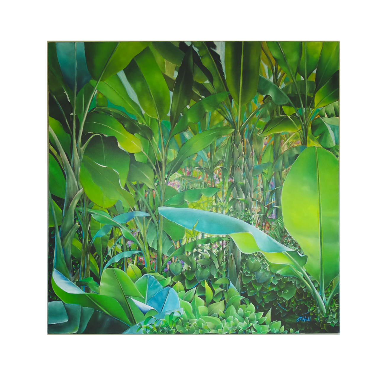 J.C. Hall Original Acrylic Painting on Canvas of Banana Palms EBTH