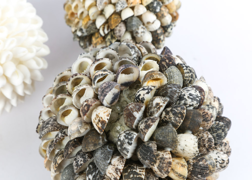 Decorative Shell Spheres | EBTH