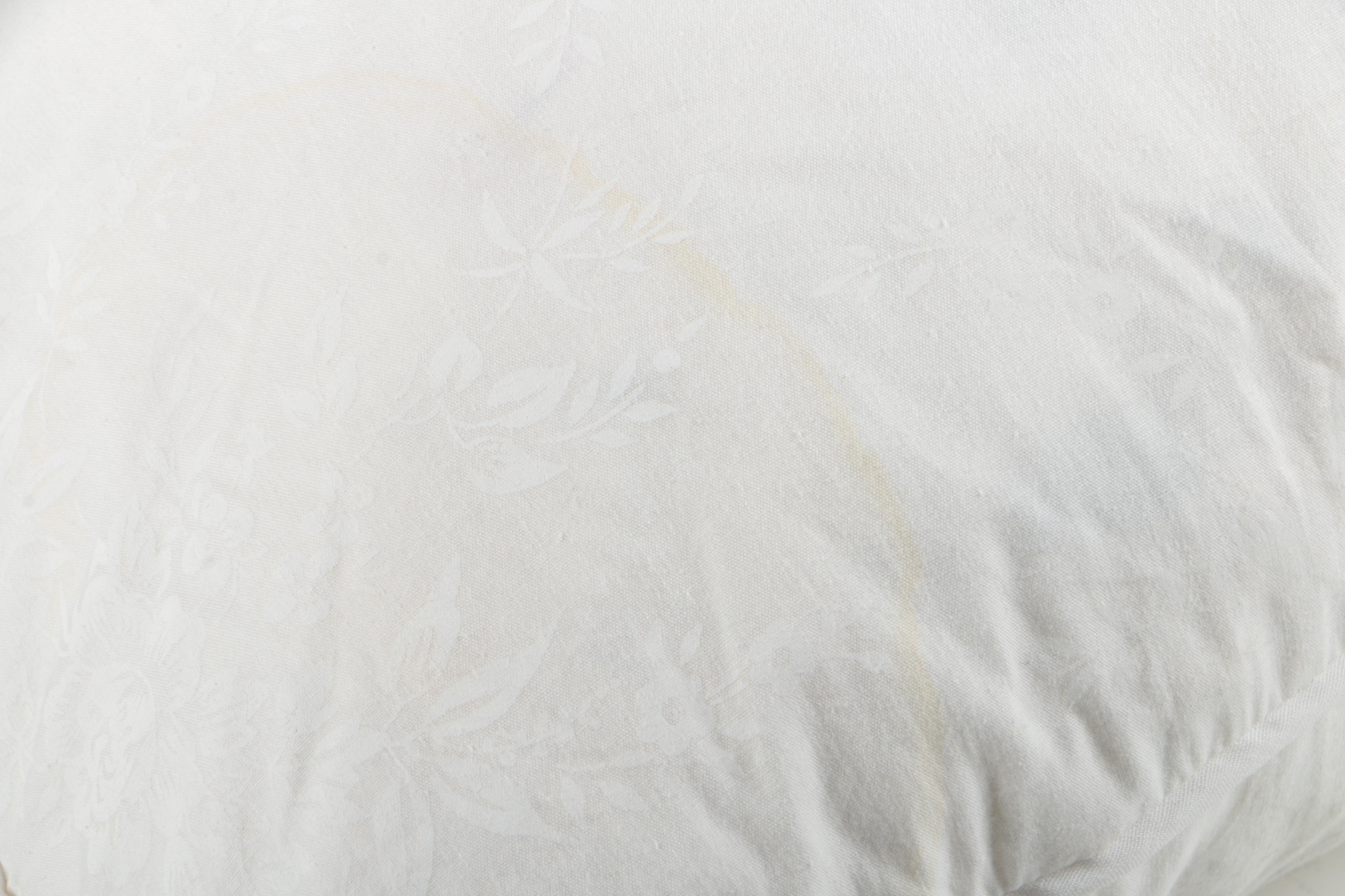 Pacific Coast Down Pillows EBTH