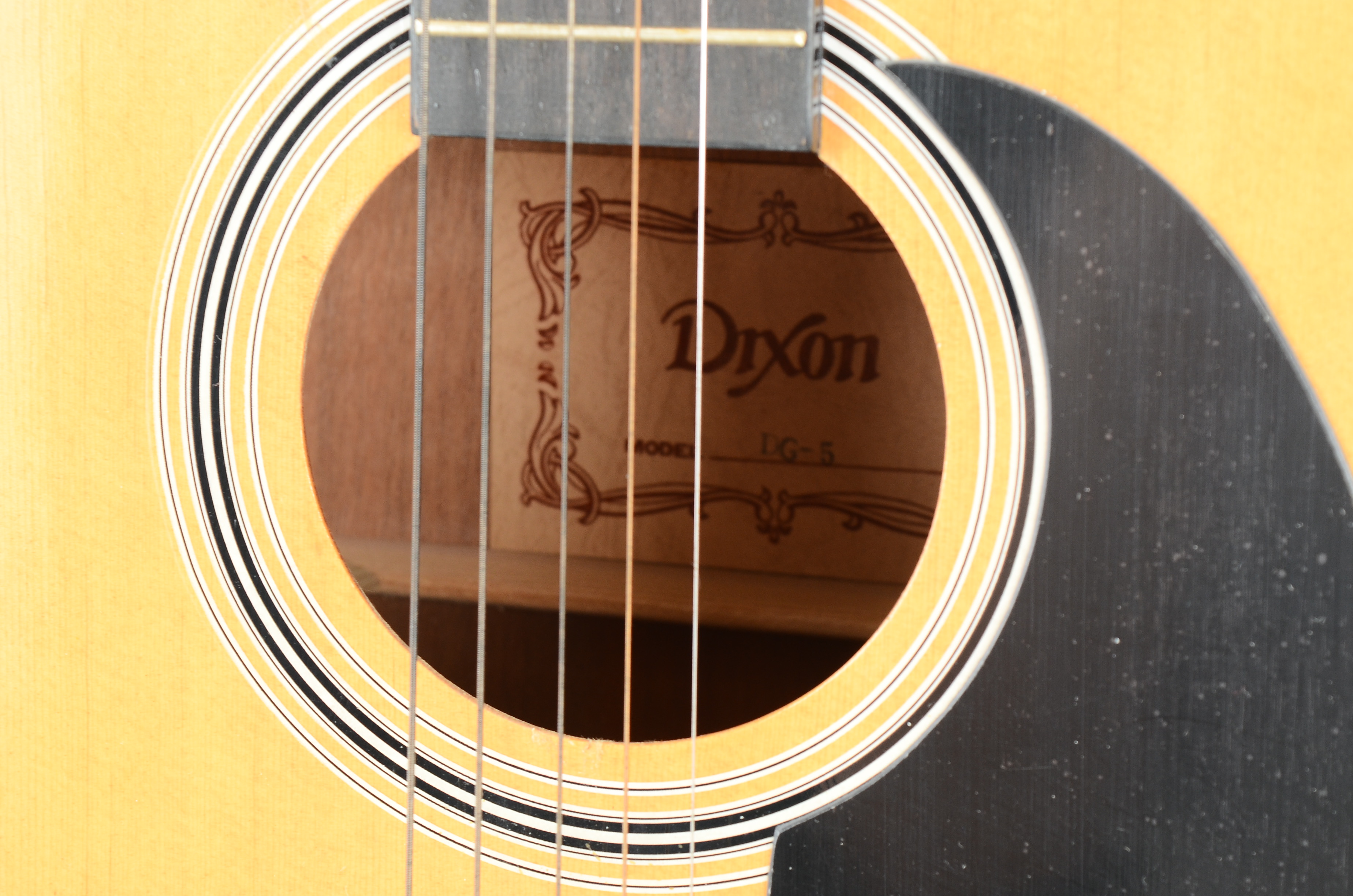 Dixon DG5 Acoustic Guitar with Case EBTH