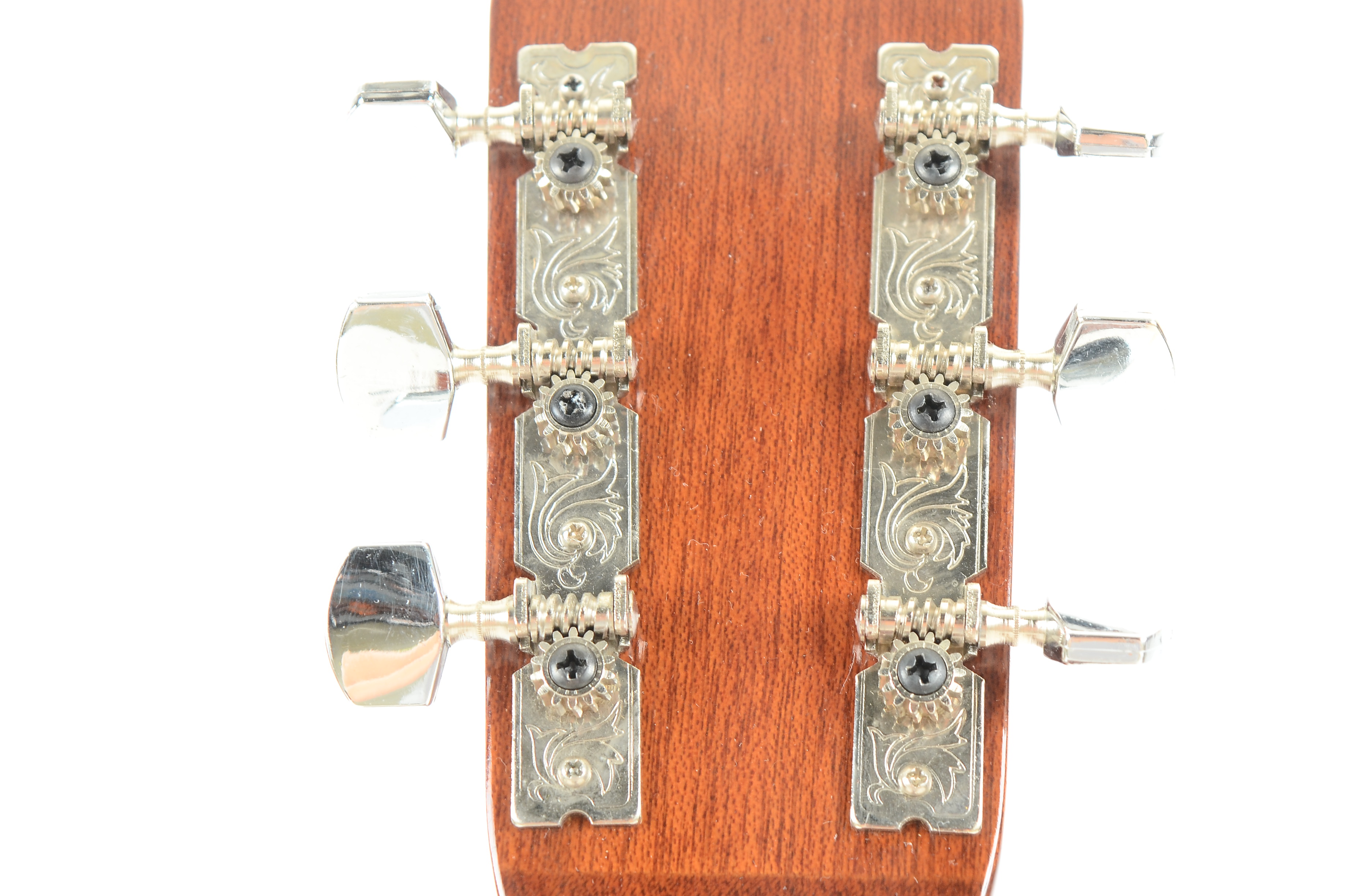 Dixon DG5 Acoustic Guitar with Case EBTH