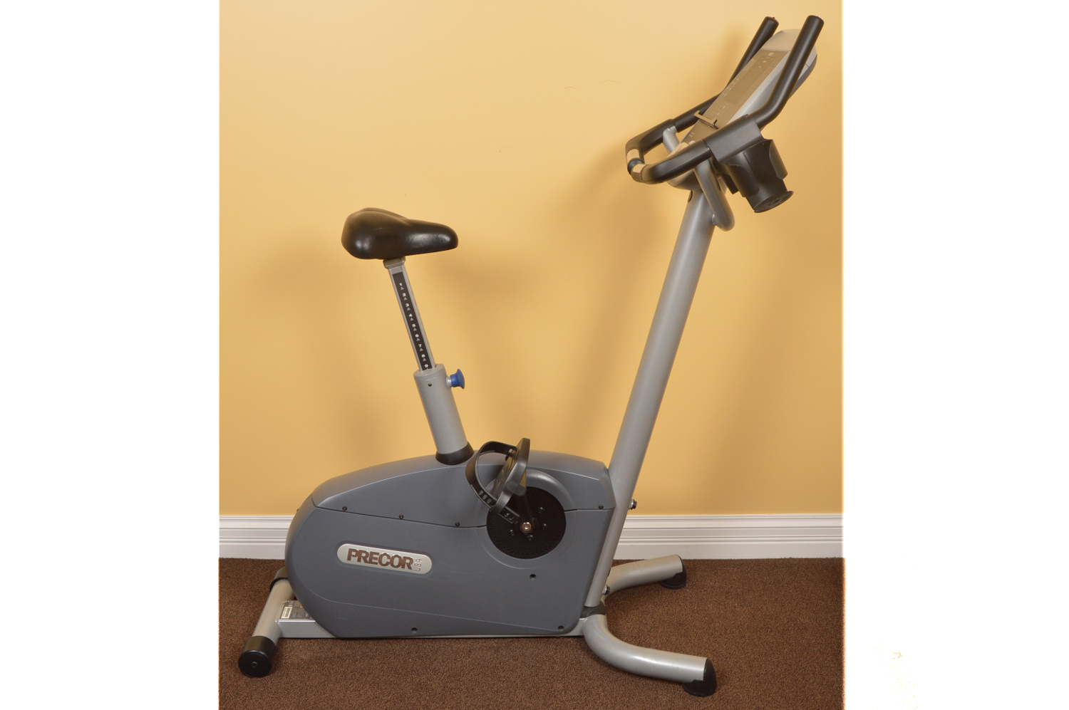 Precor Recumbent Exercise Bike | Bike Pic