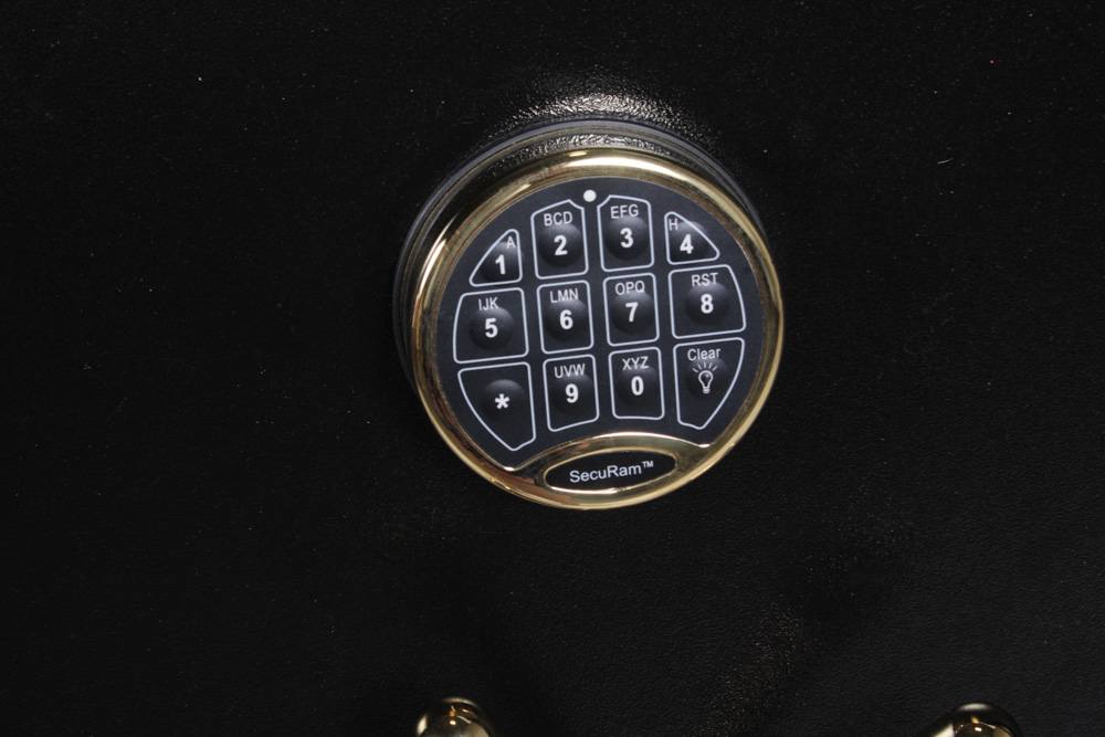 Cannon CS20 Executive Gun Safe EBTH