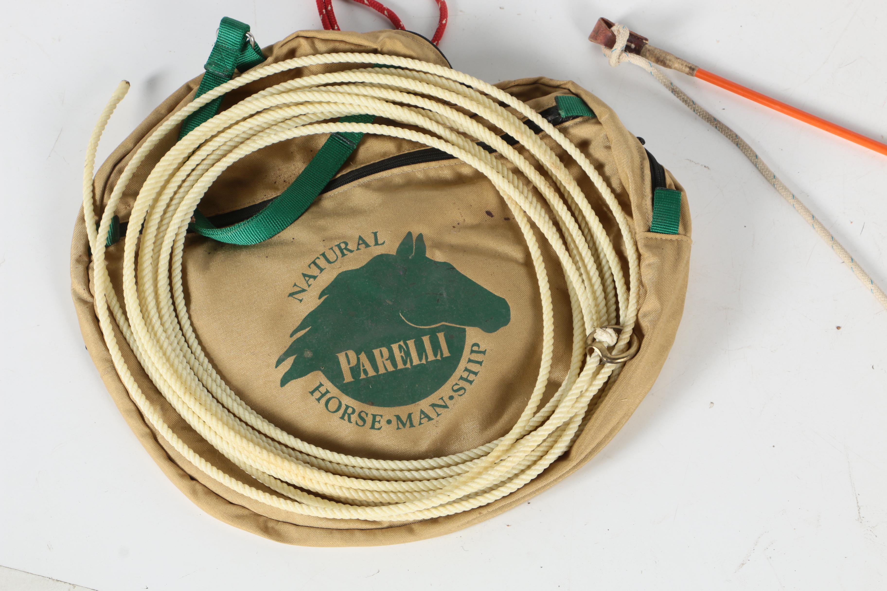 Parelli and Other Lead Ropes with Riding Crop and Whip EBTH