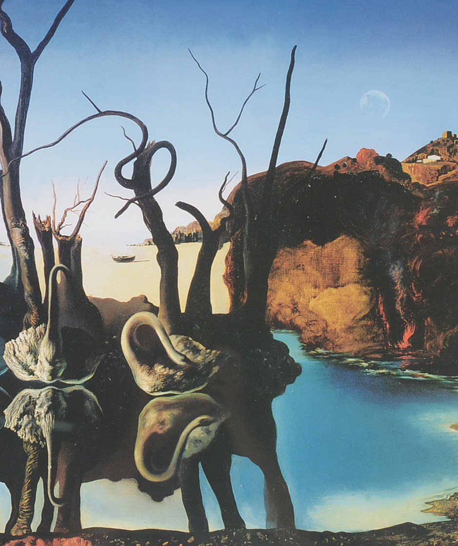 Swans reflecting elephants size picture