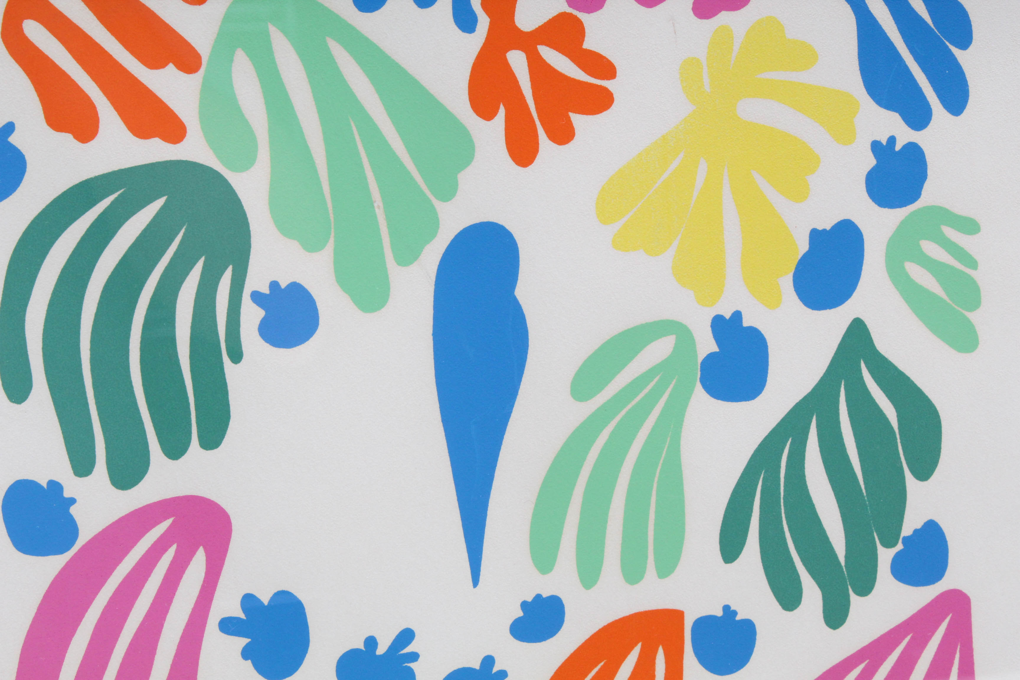 Henri Matisse La Perruche Et La Sirene