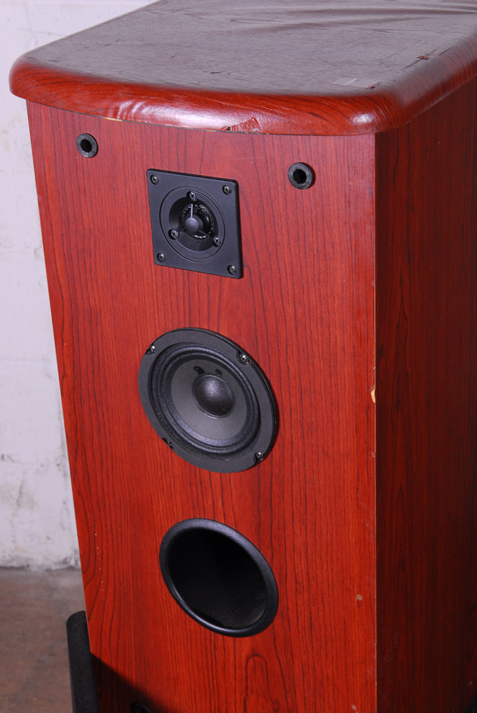 Techwood Pro Studio S6C Tower Speakers EBTH