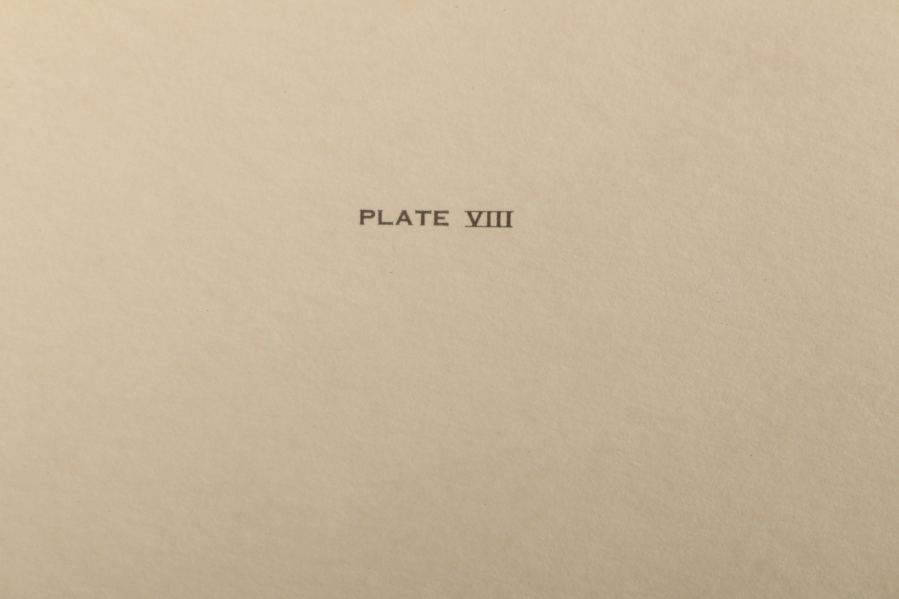 Signed John Ruthven "Wood Ducks" Print EBTH