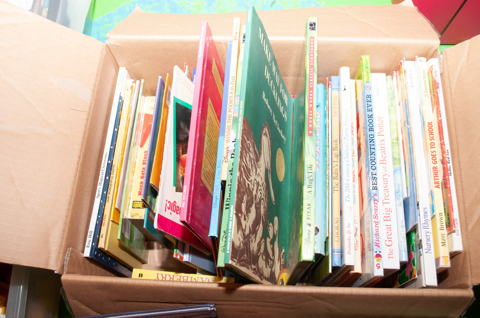 Eclectic Collection of Literature for Children EBTH