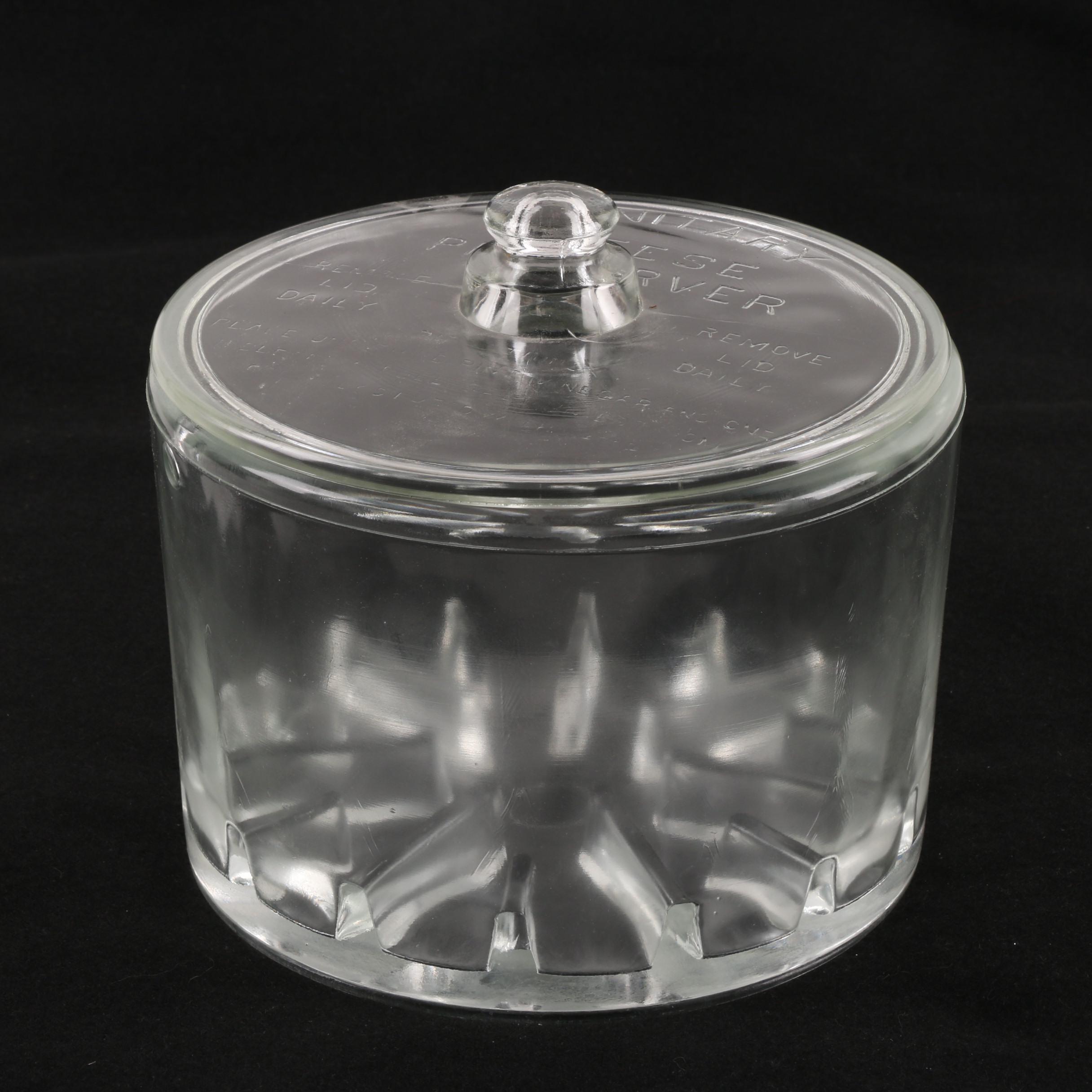 Vintage Glass Sanitary Cheese Preserver EBTH