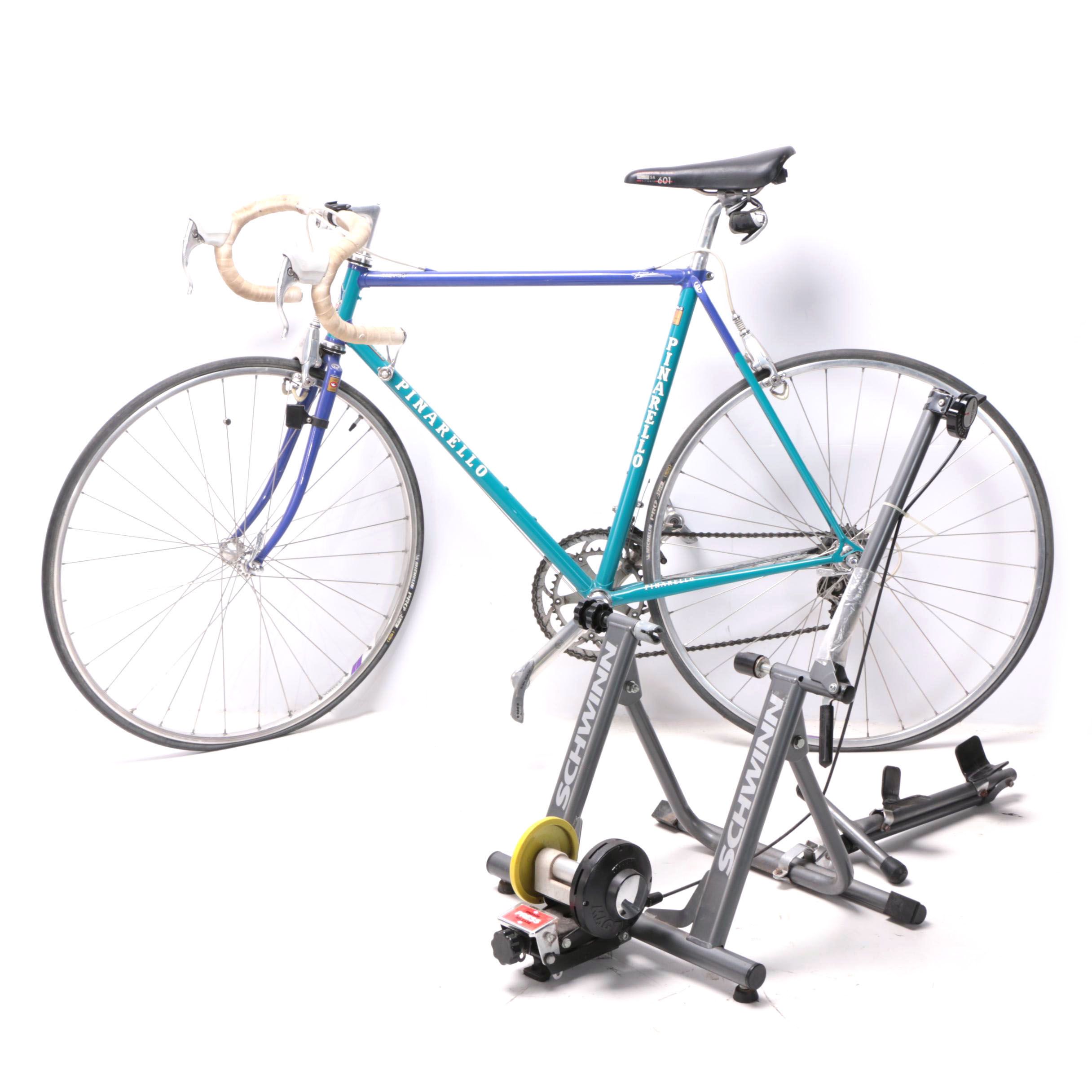 schwinn mag trainer