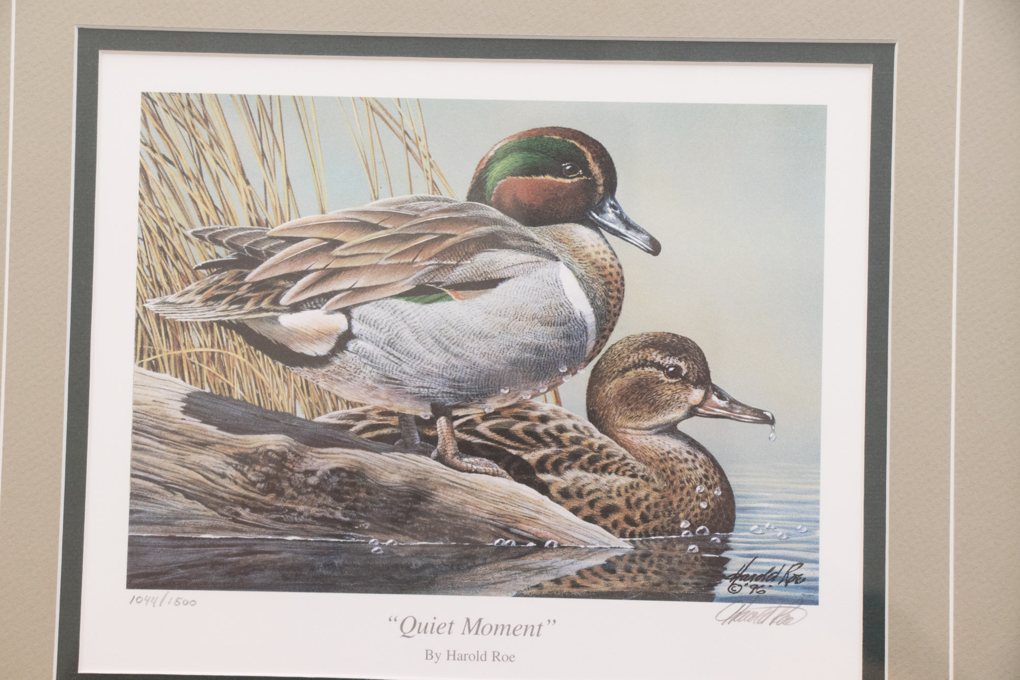 Mallard Offset Lithographic Prints by Adam Grimm, Harold Roe, and ...