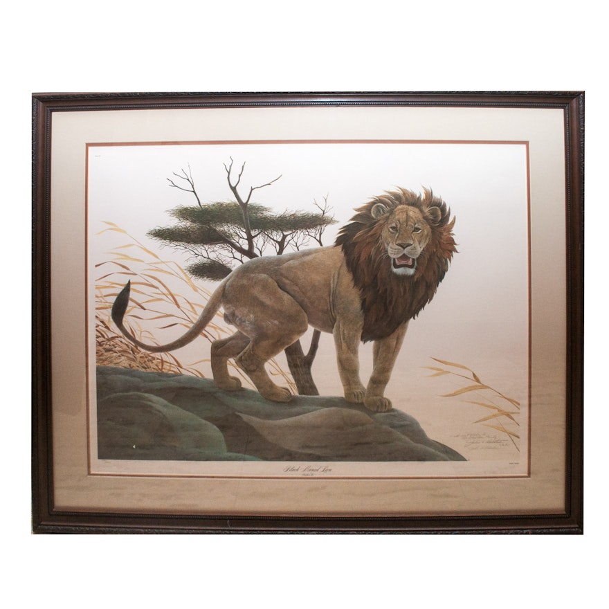 John Ruthven Offset Lithograph "Black Maned Lion"