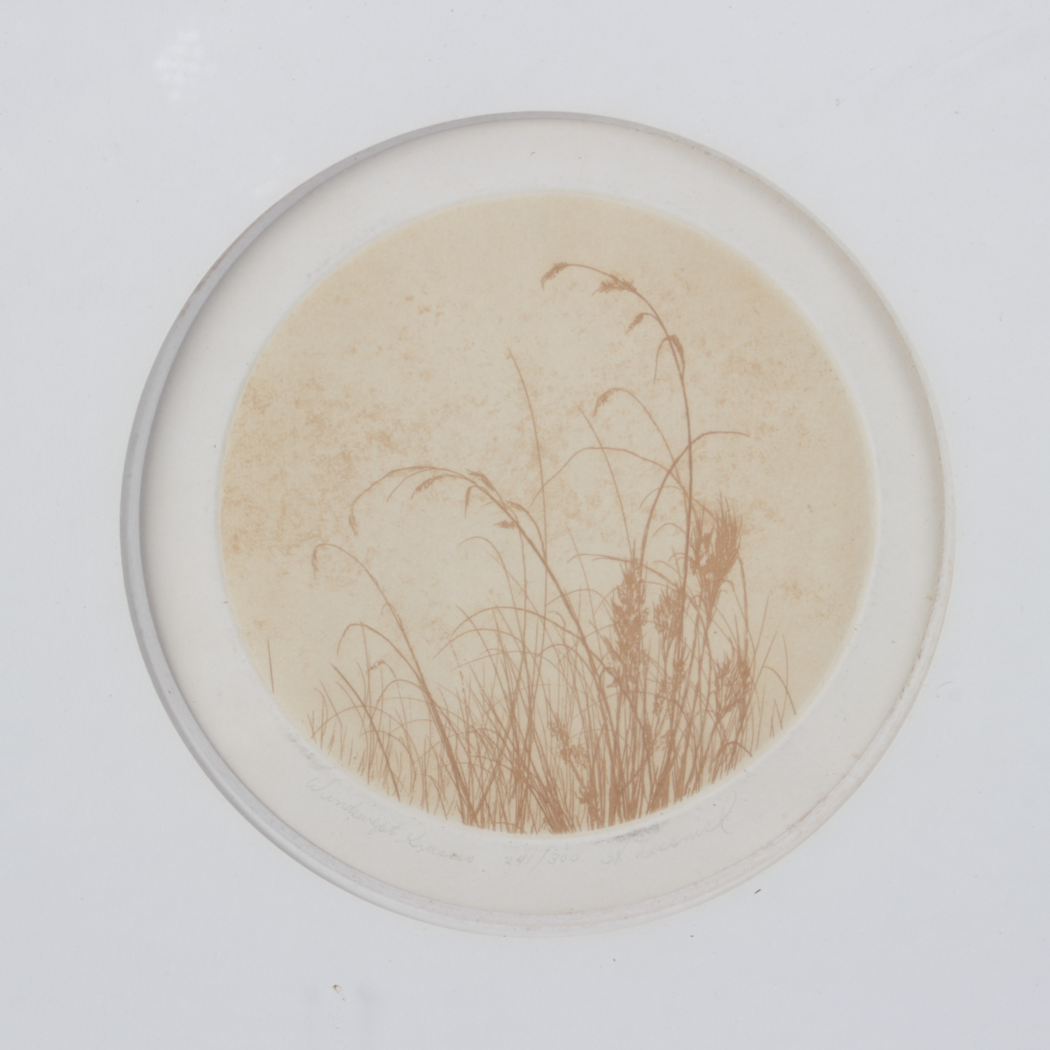 Howard Lessnick Etching "Windswept Grass" EBTH