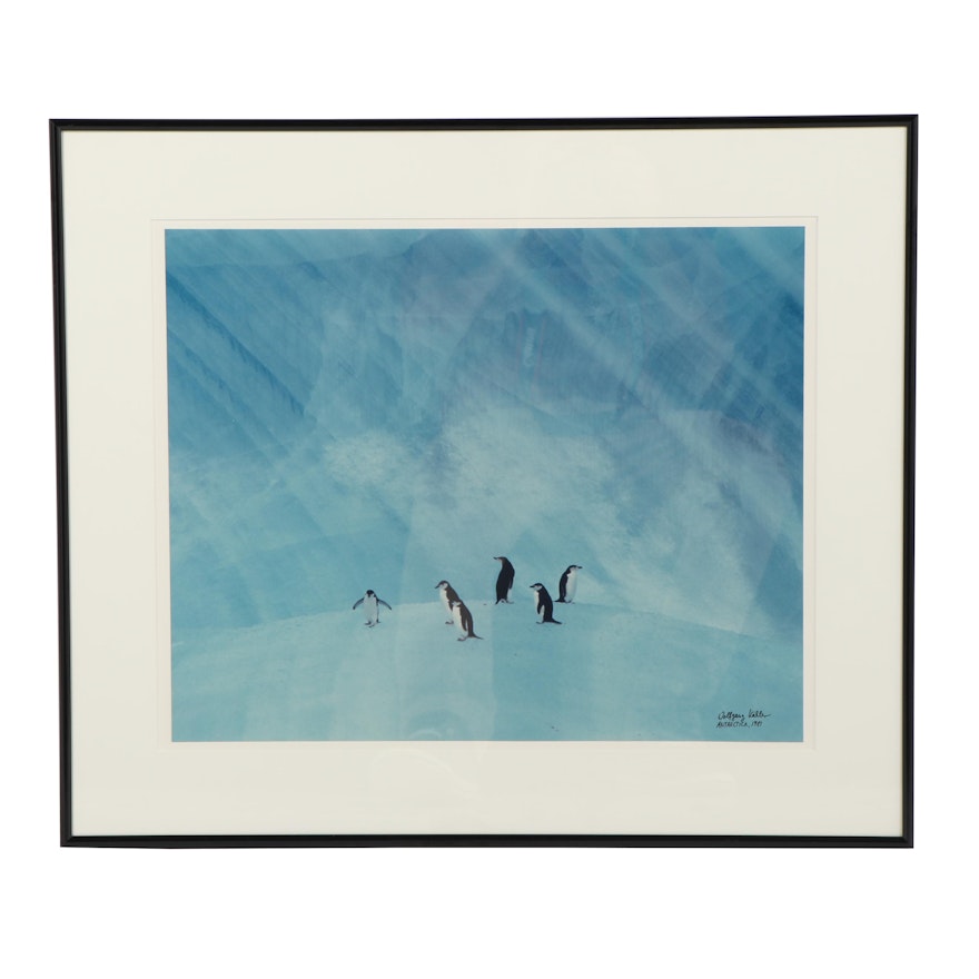 Wolfgang Kaehler Color Photograph "Antarctica 1981"